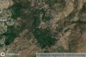 Bear Spring Number One