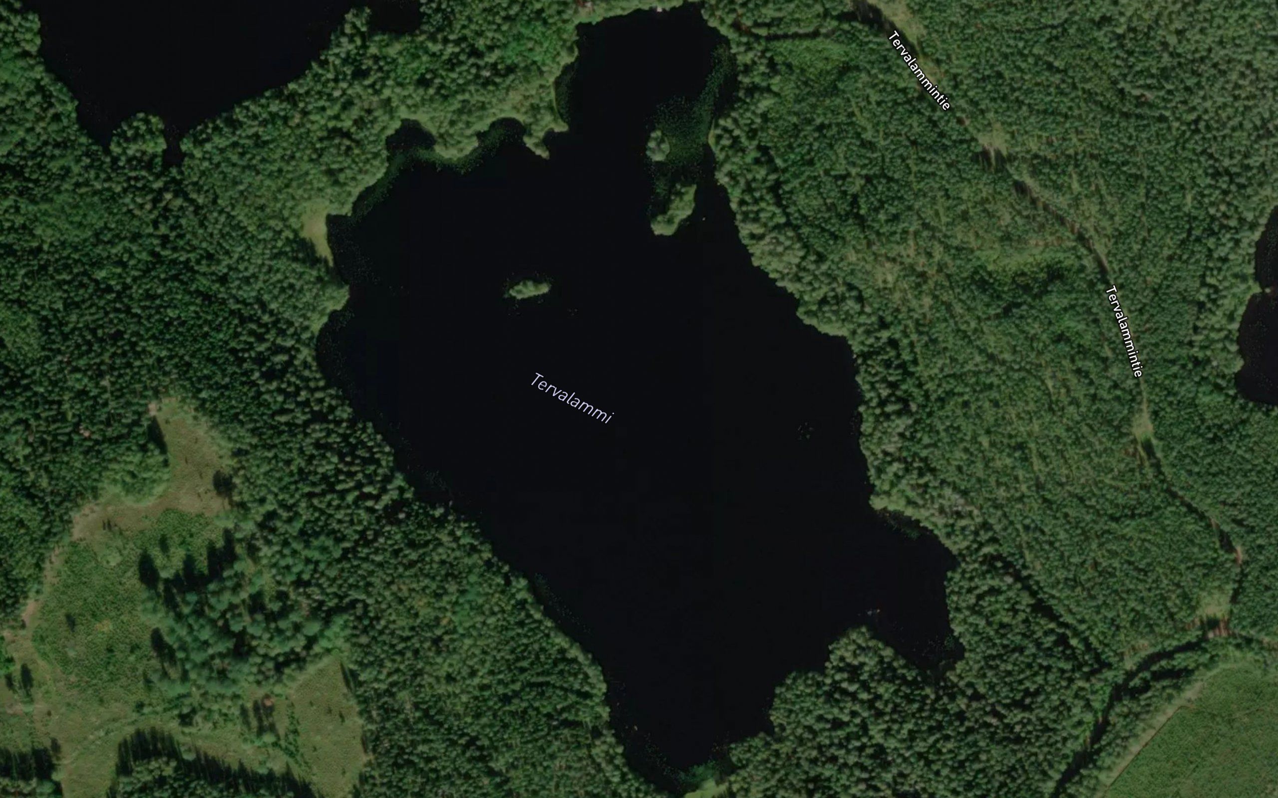 Tervalammi