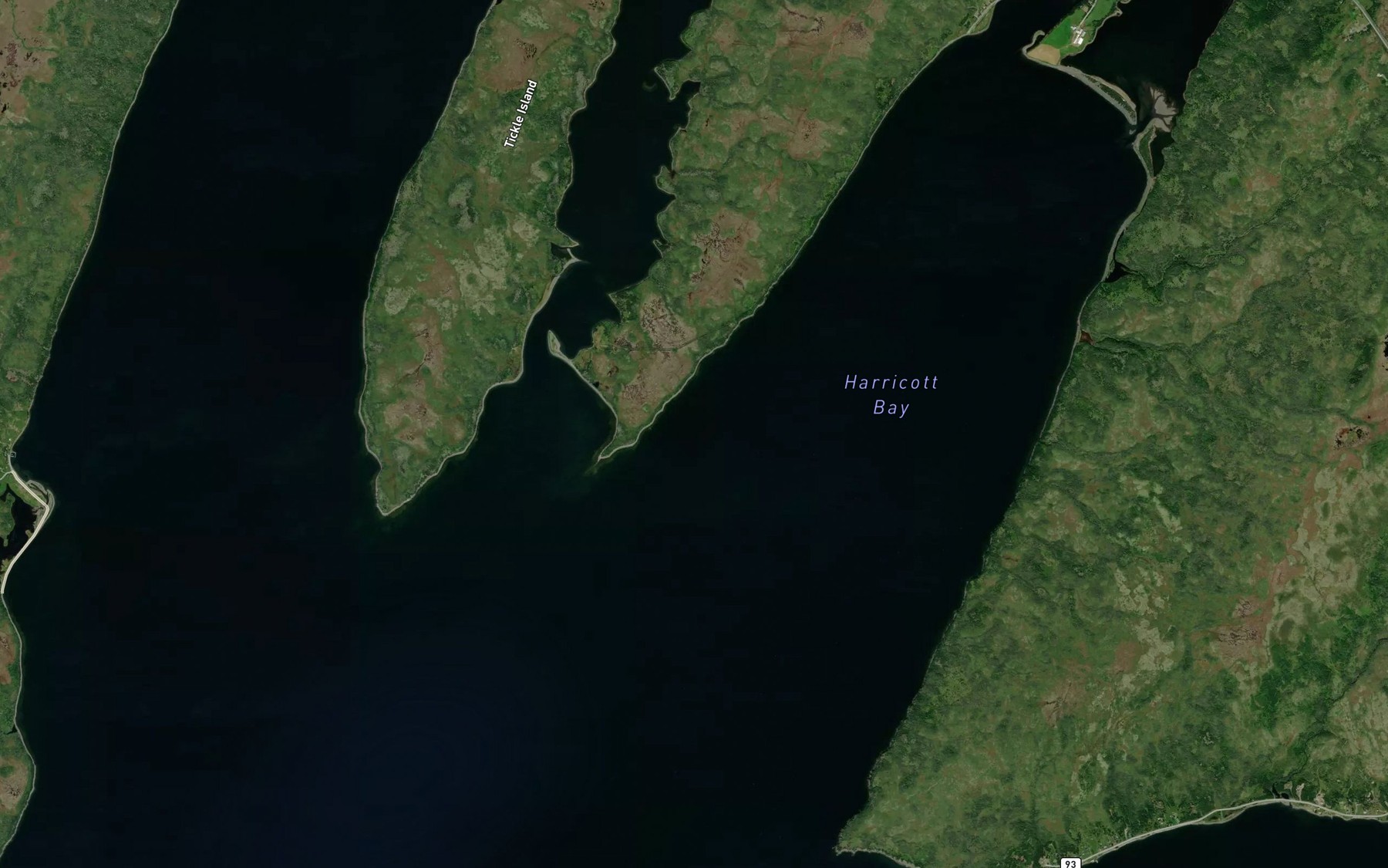 Satellite map of the Pinchgut Tickle
