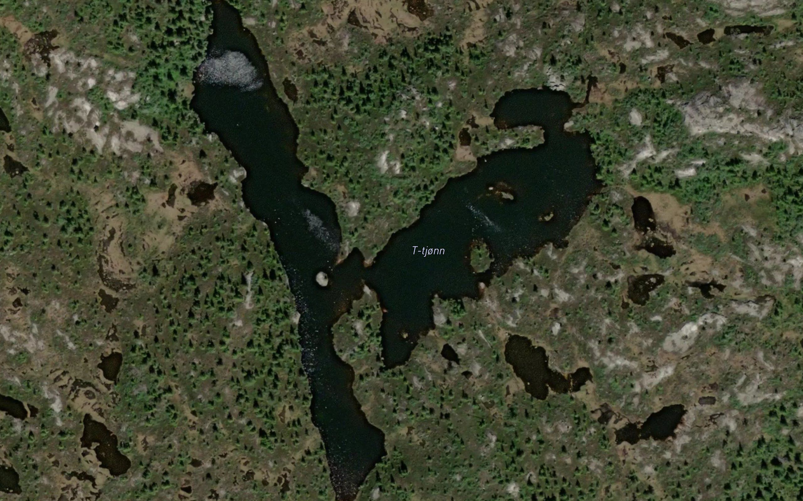 T-tjorn