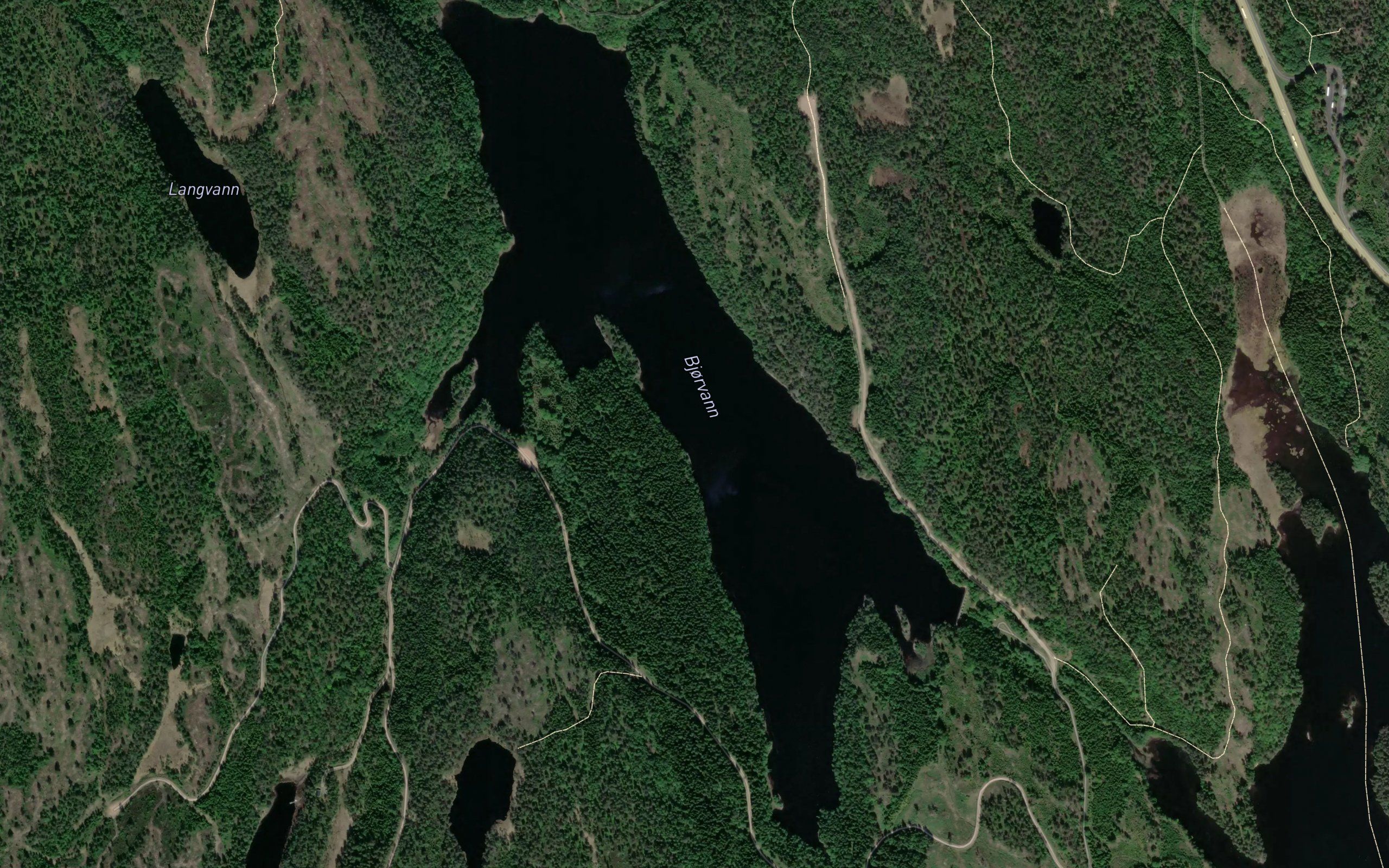 Bjorvann