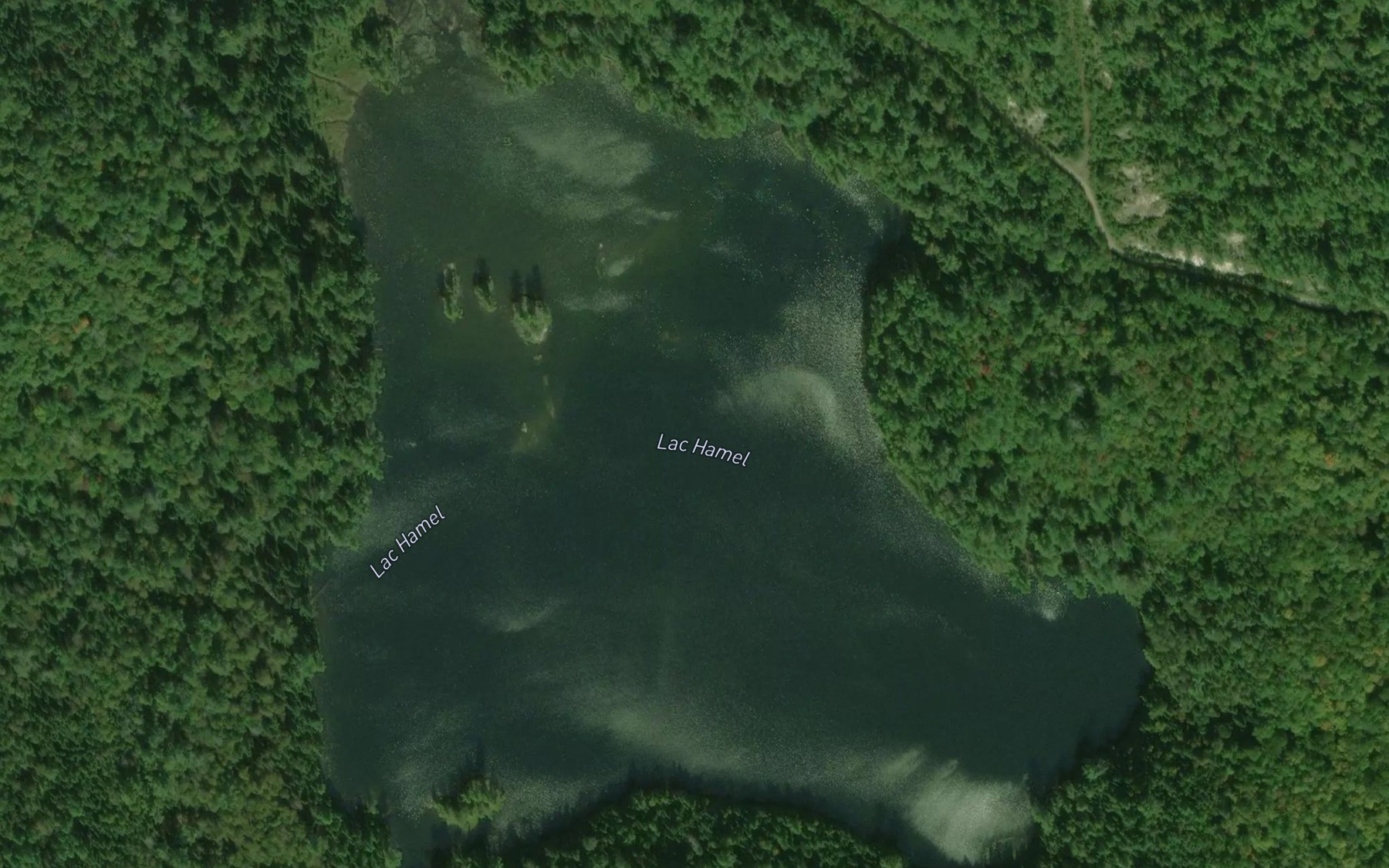 Satellite map of the Lac Hamel