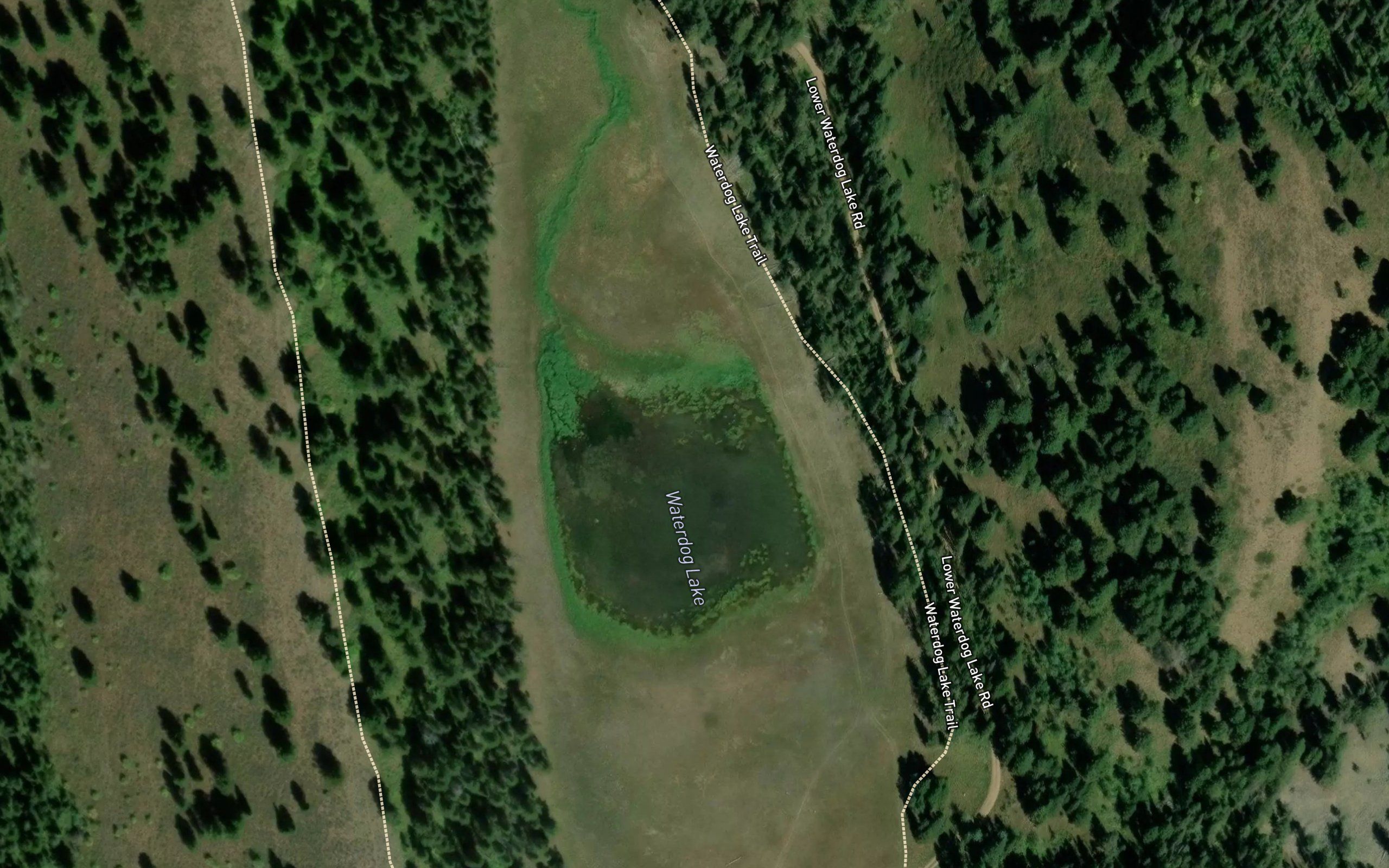 Waterdog Lake