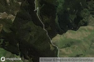Trout Stream