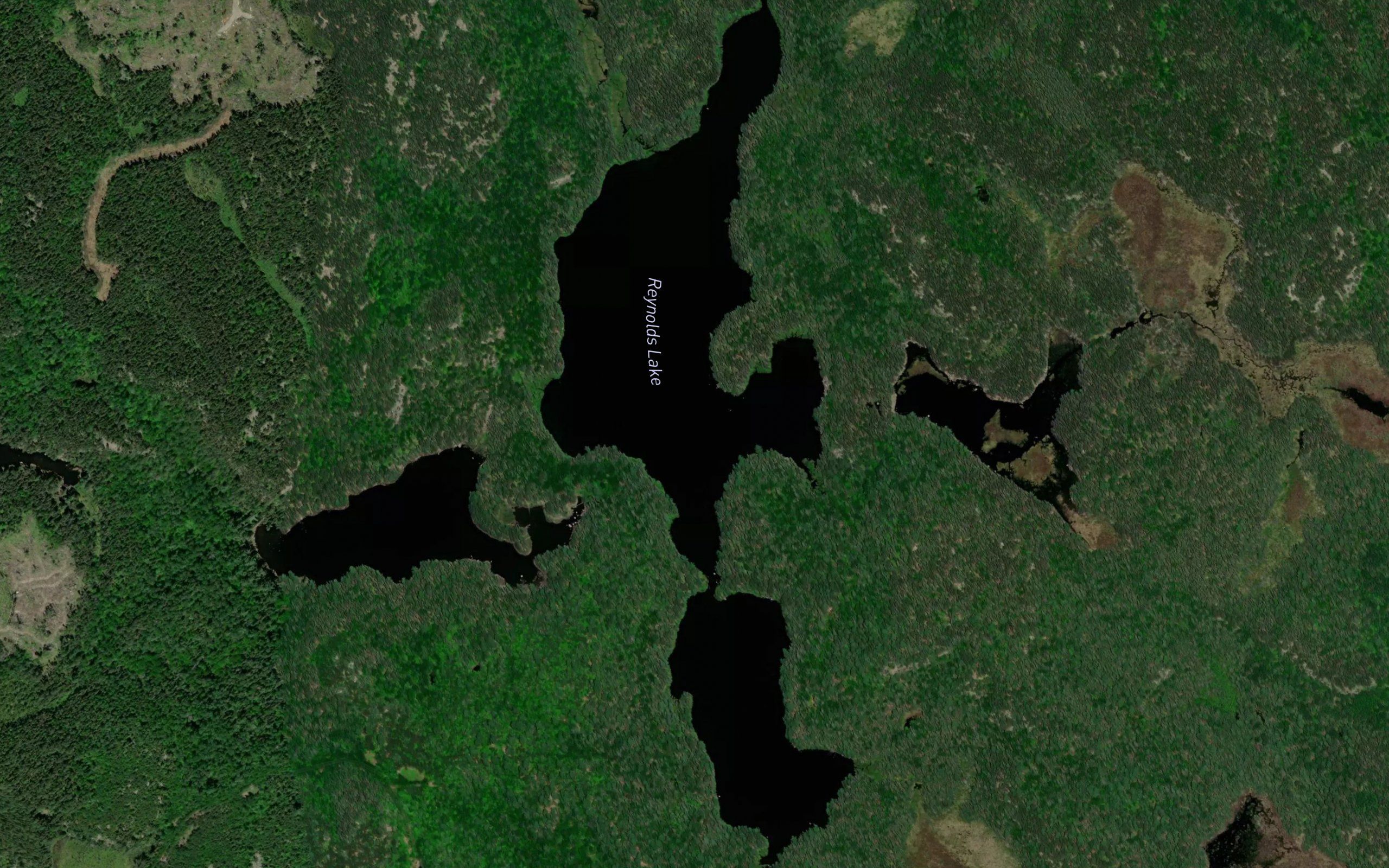 Reynolds Lake