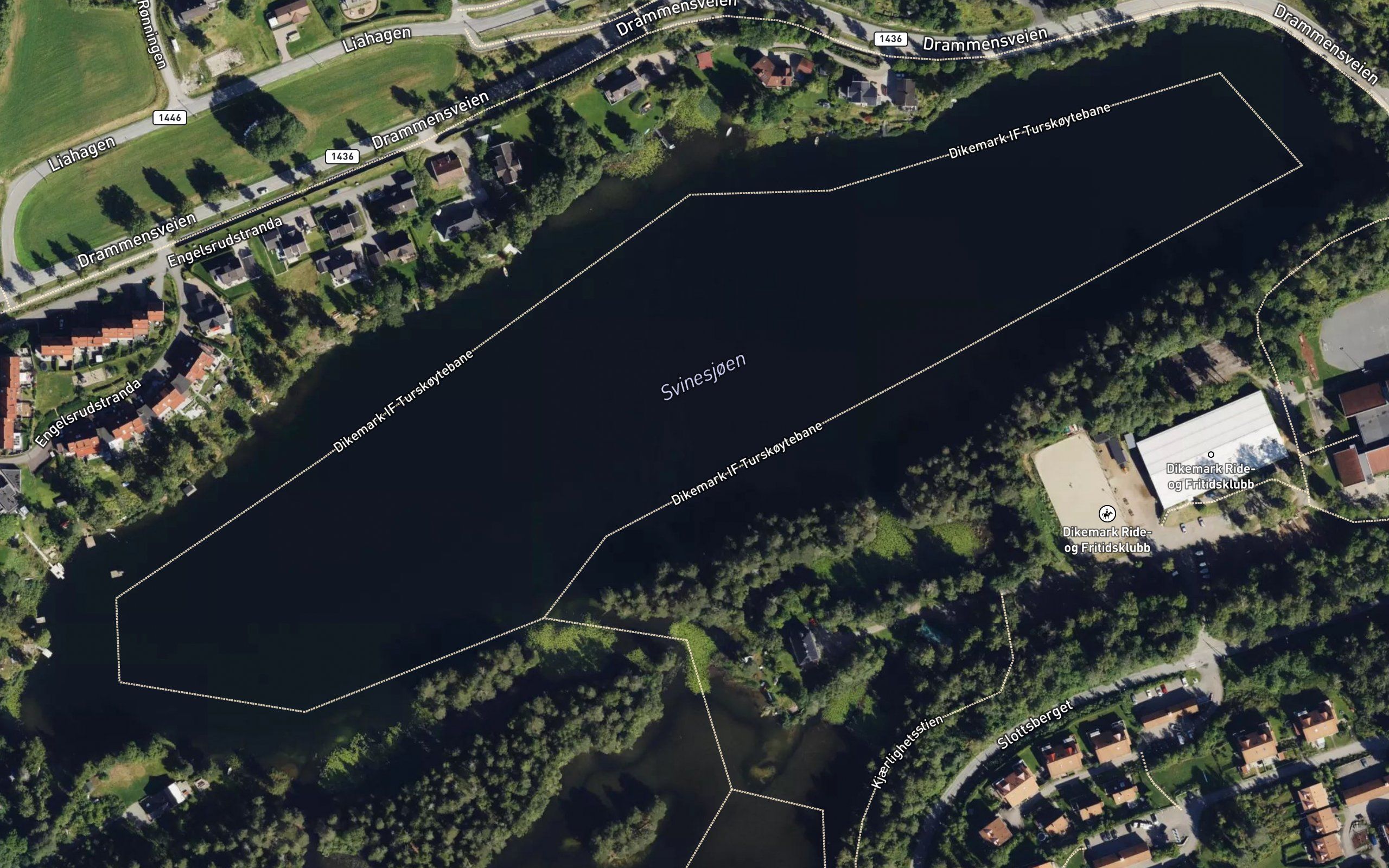 Svinesjoen