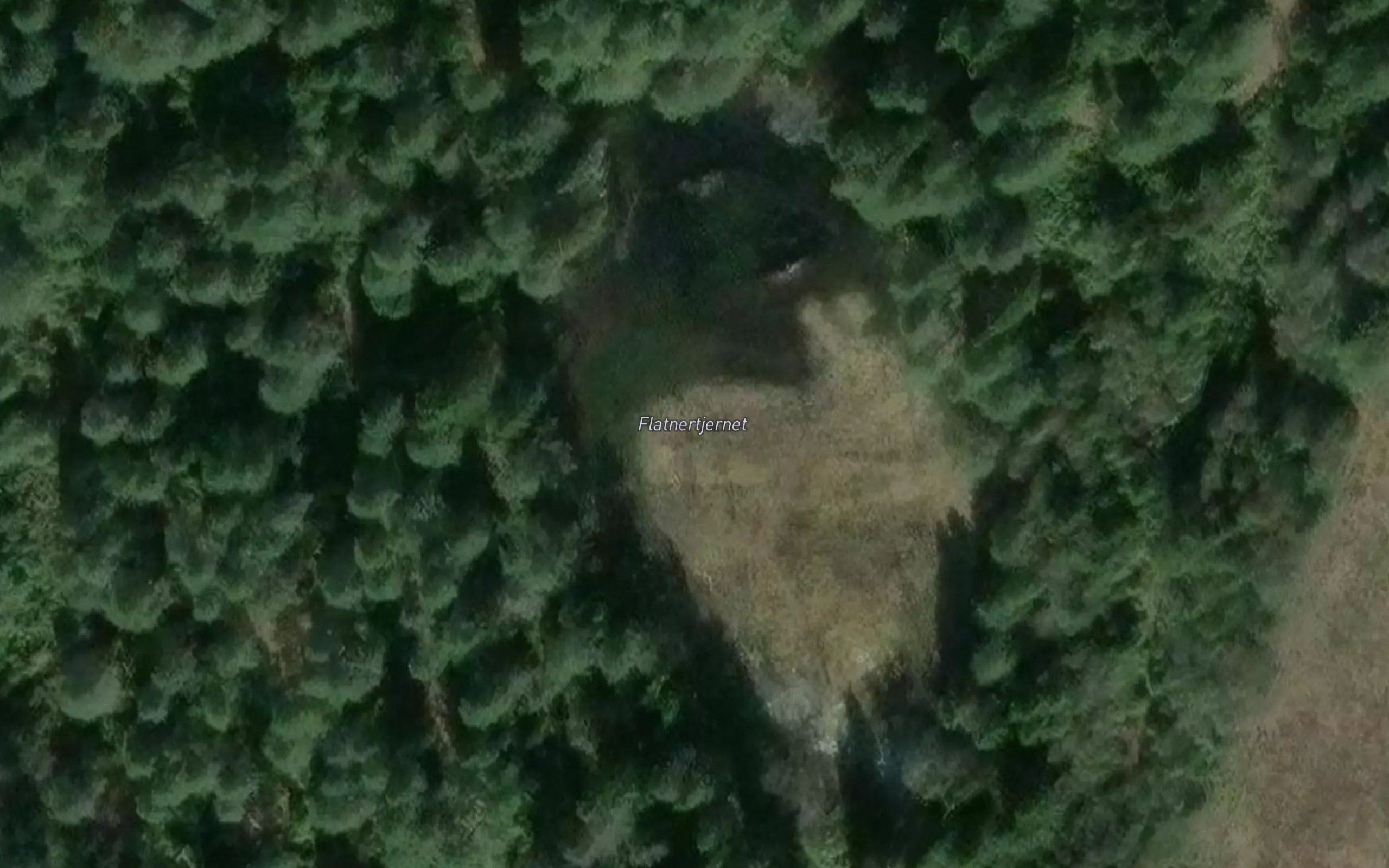 Flatnertjernet