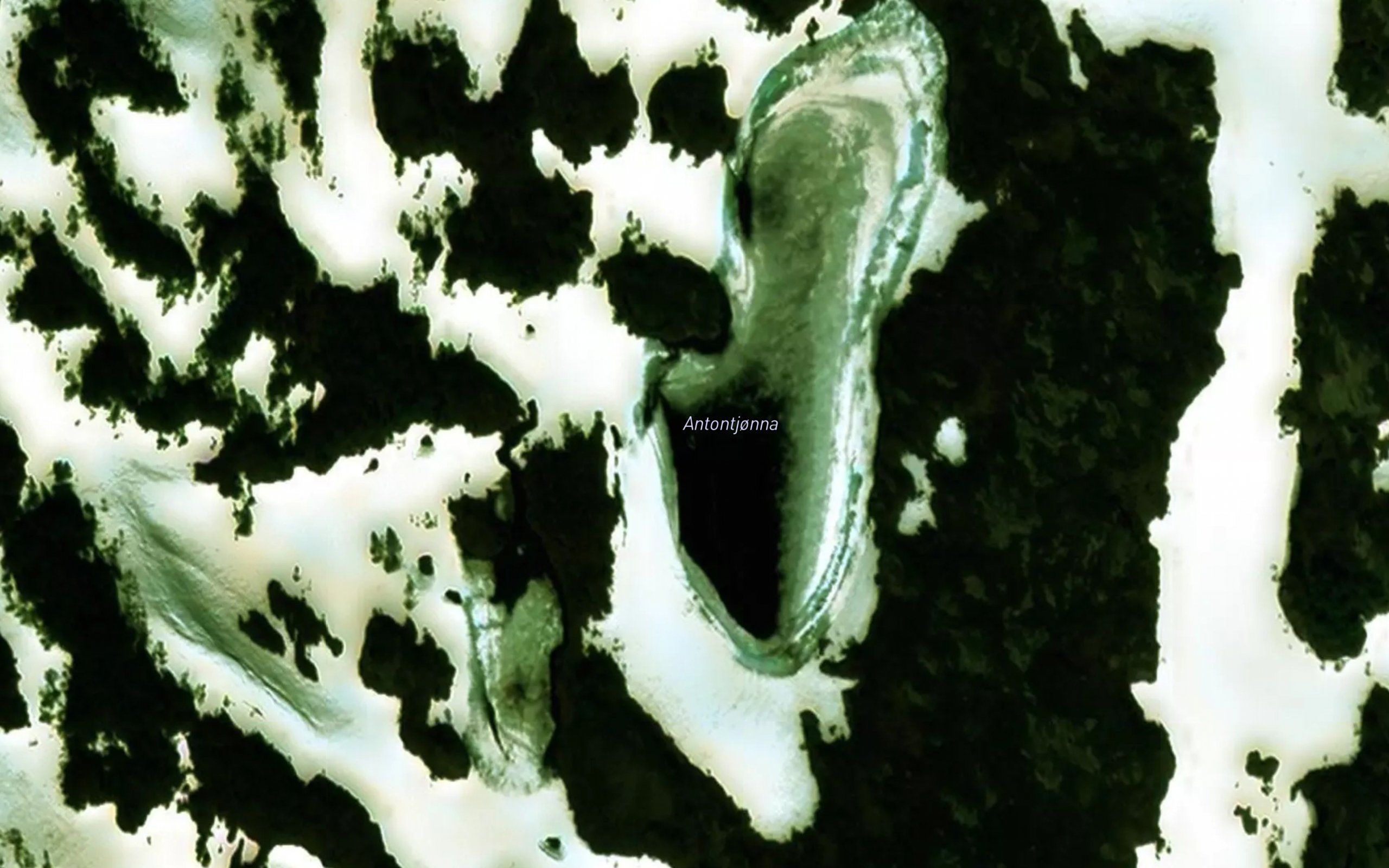 Antontjorna
