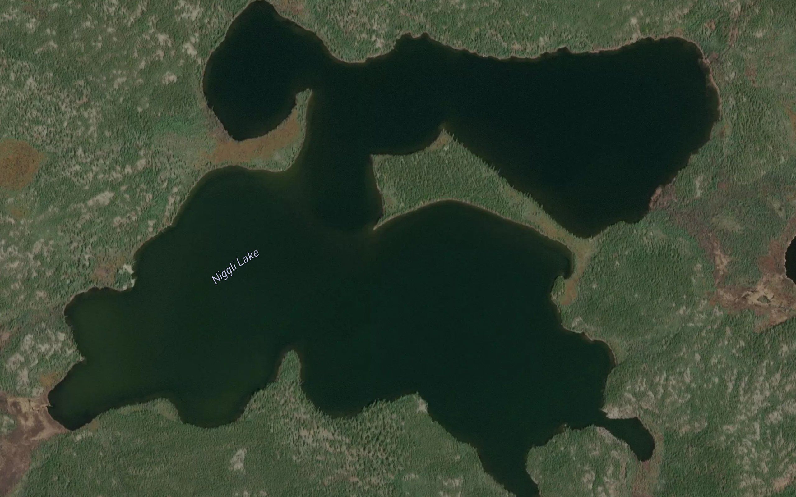 Niggli Lake