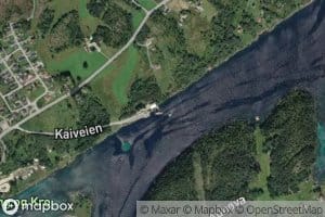 Matvika
