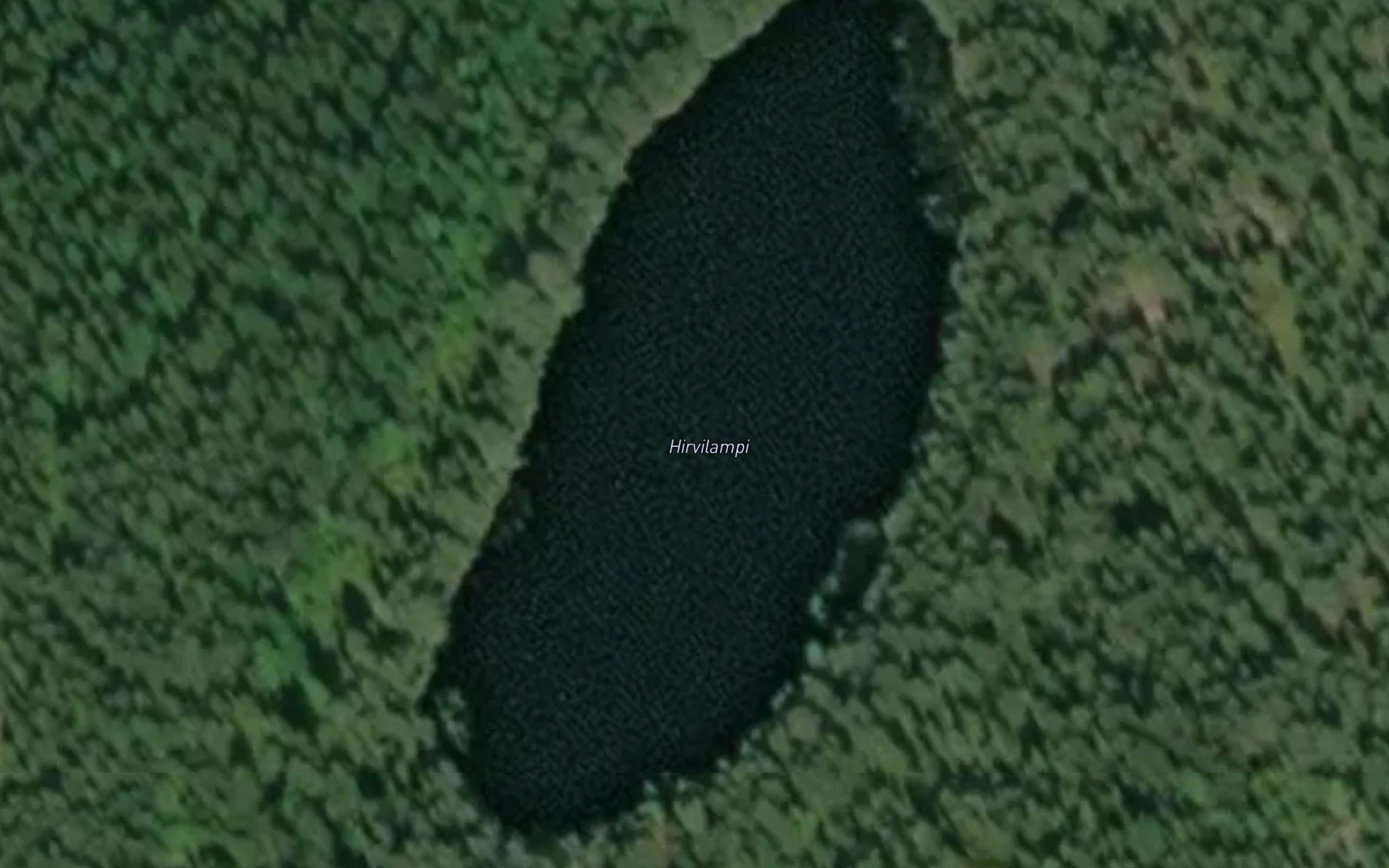 Satellite map of the Hirvilampi