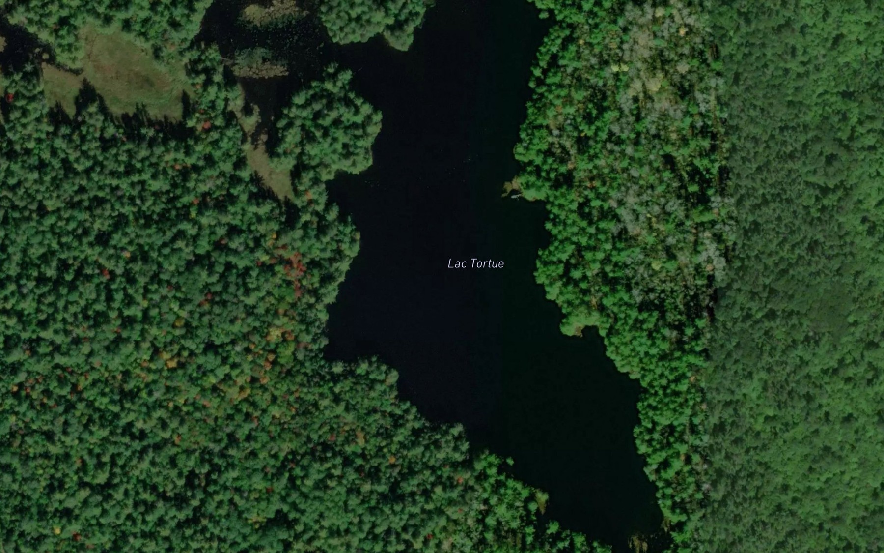 Satellite map of the Lac Tortue