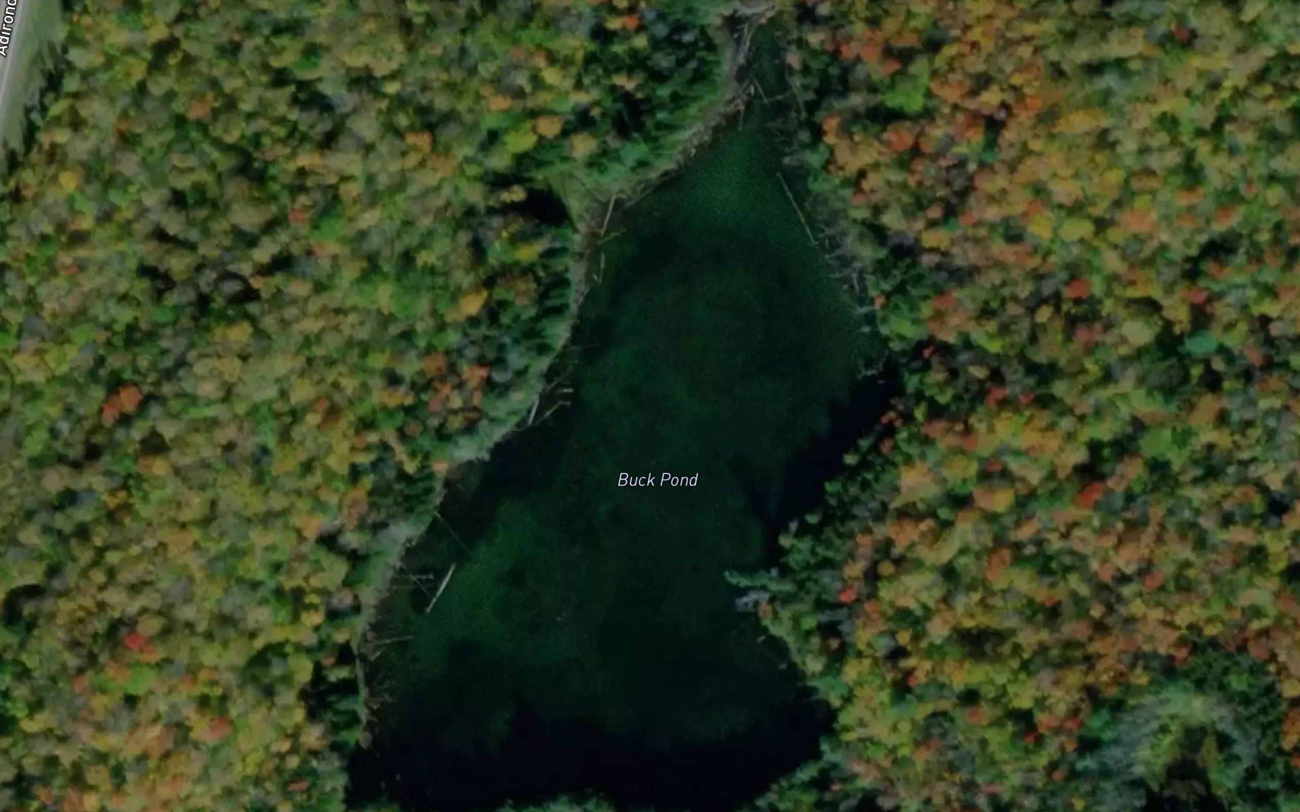 Buck Pond