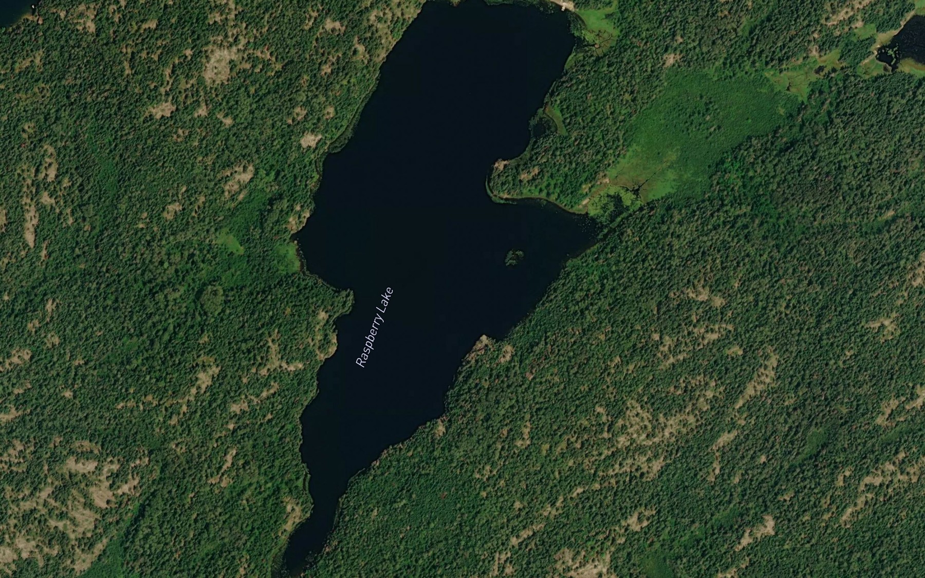 Satellite map of the Raspberry Lake