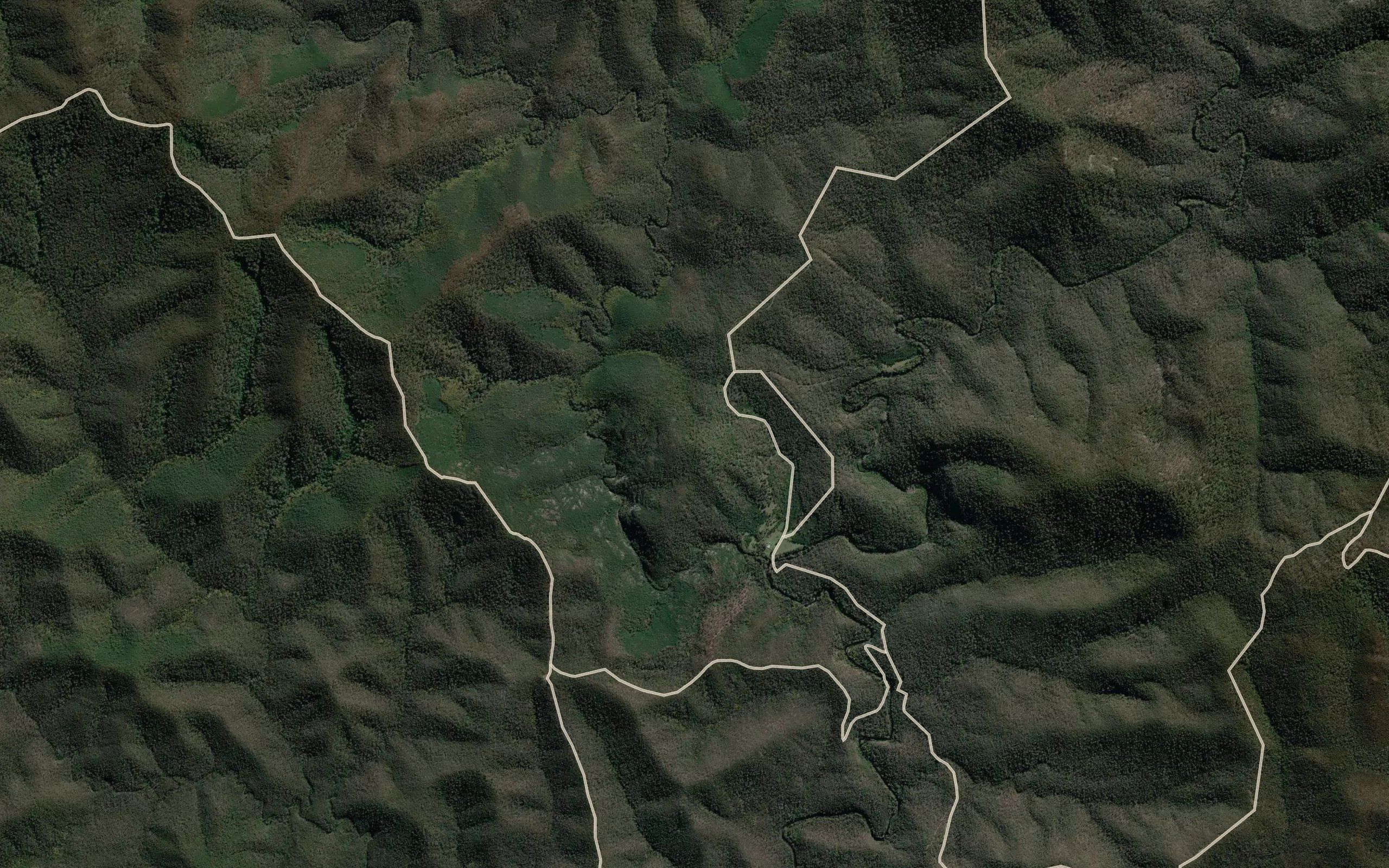 Wilkinsons Creek