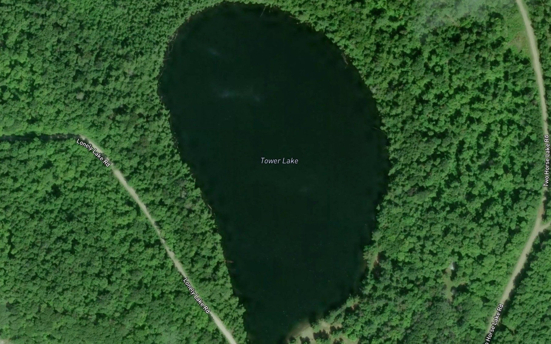 Satellite map of the Tower Lake