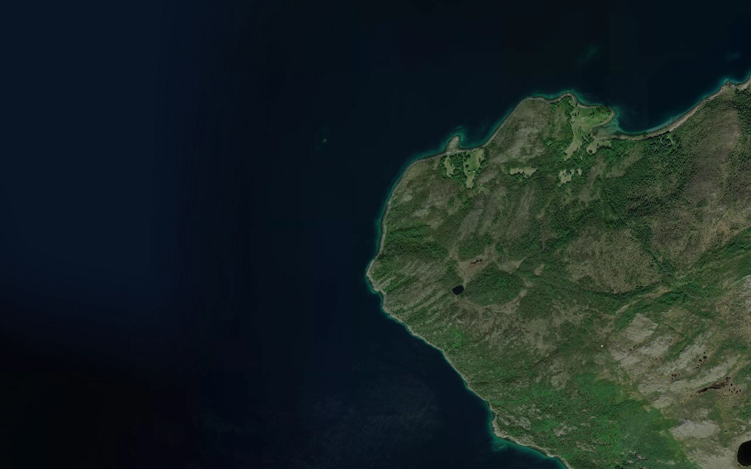 Skogvika