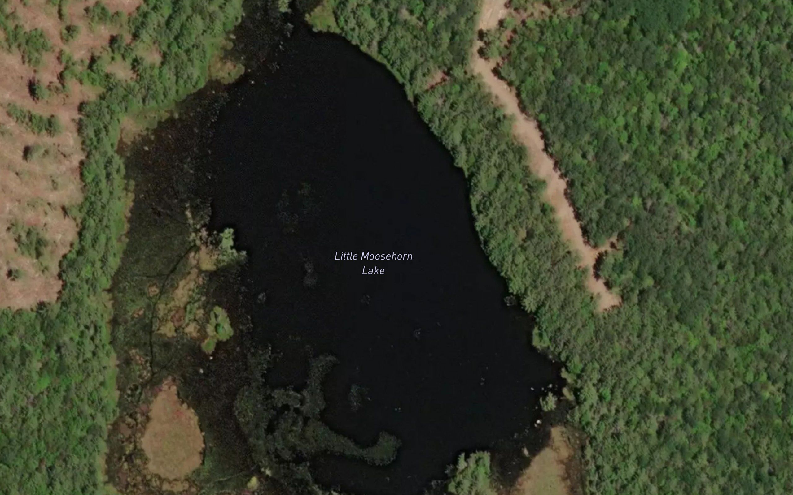 Little Moosehorn Lake