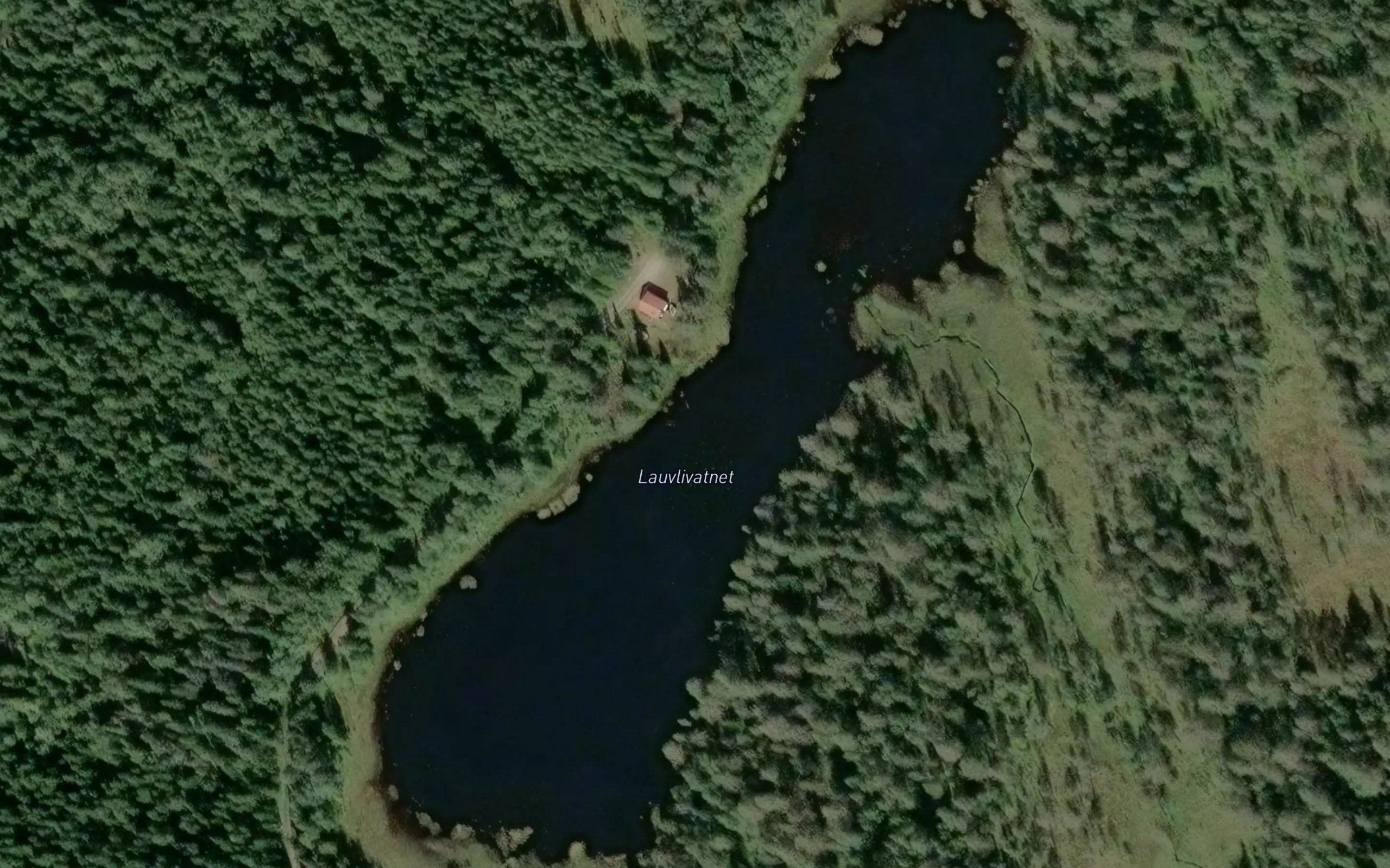 Lauvlivatnet