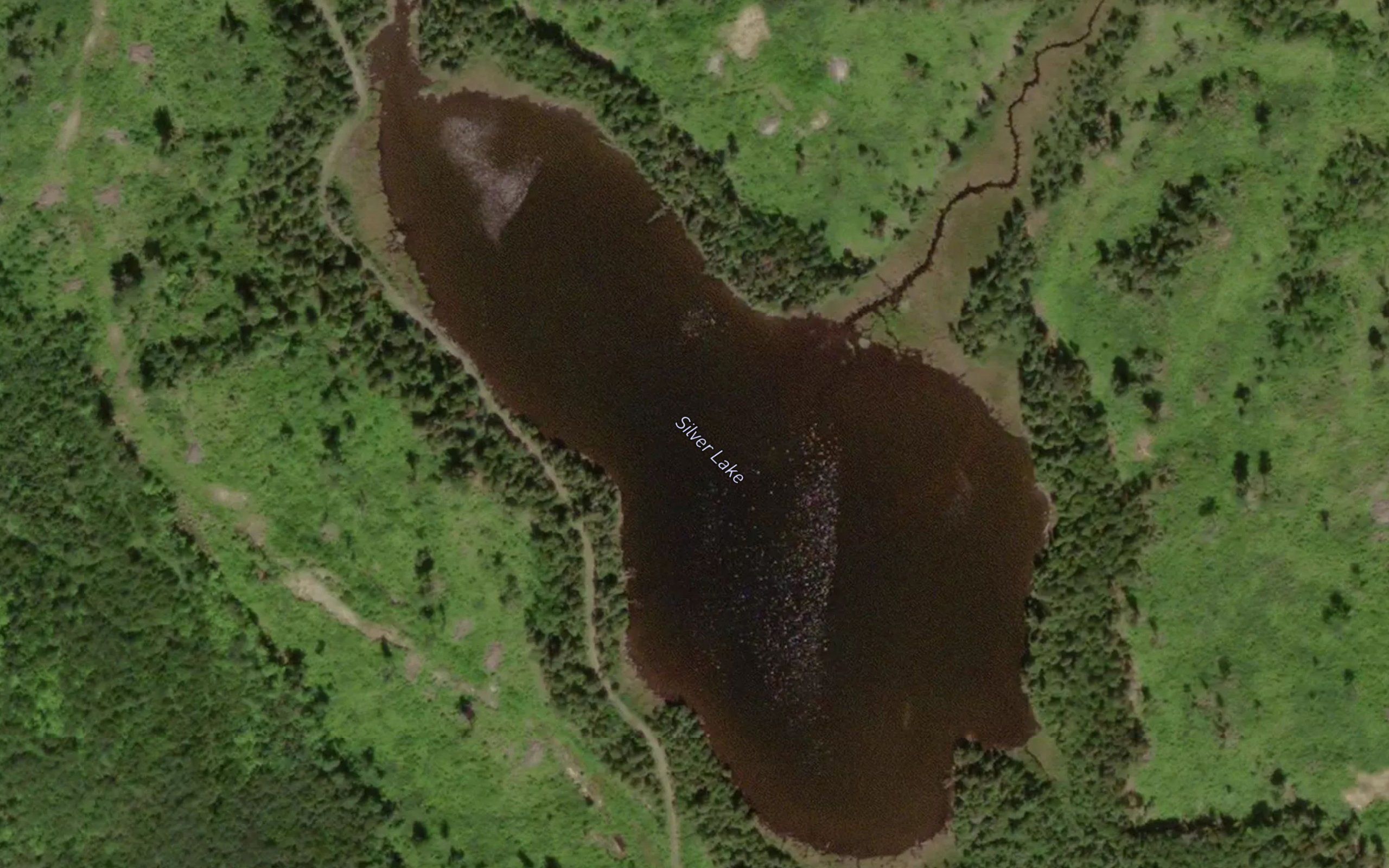 Silver Lake
