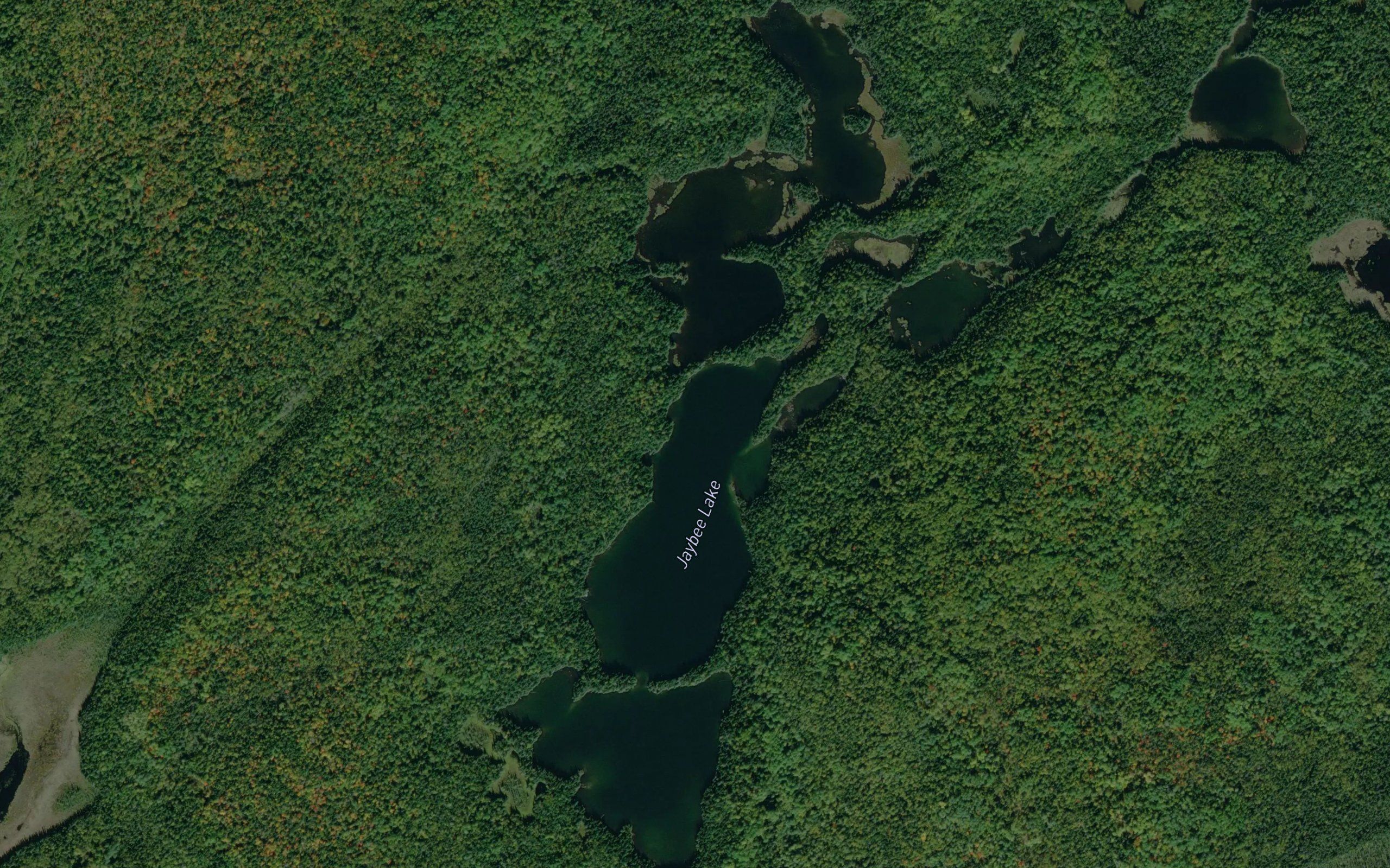 Jaybee Lake
