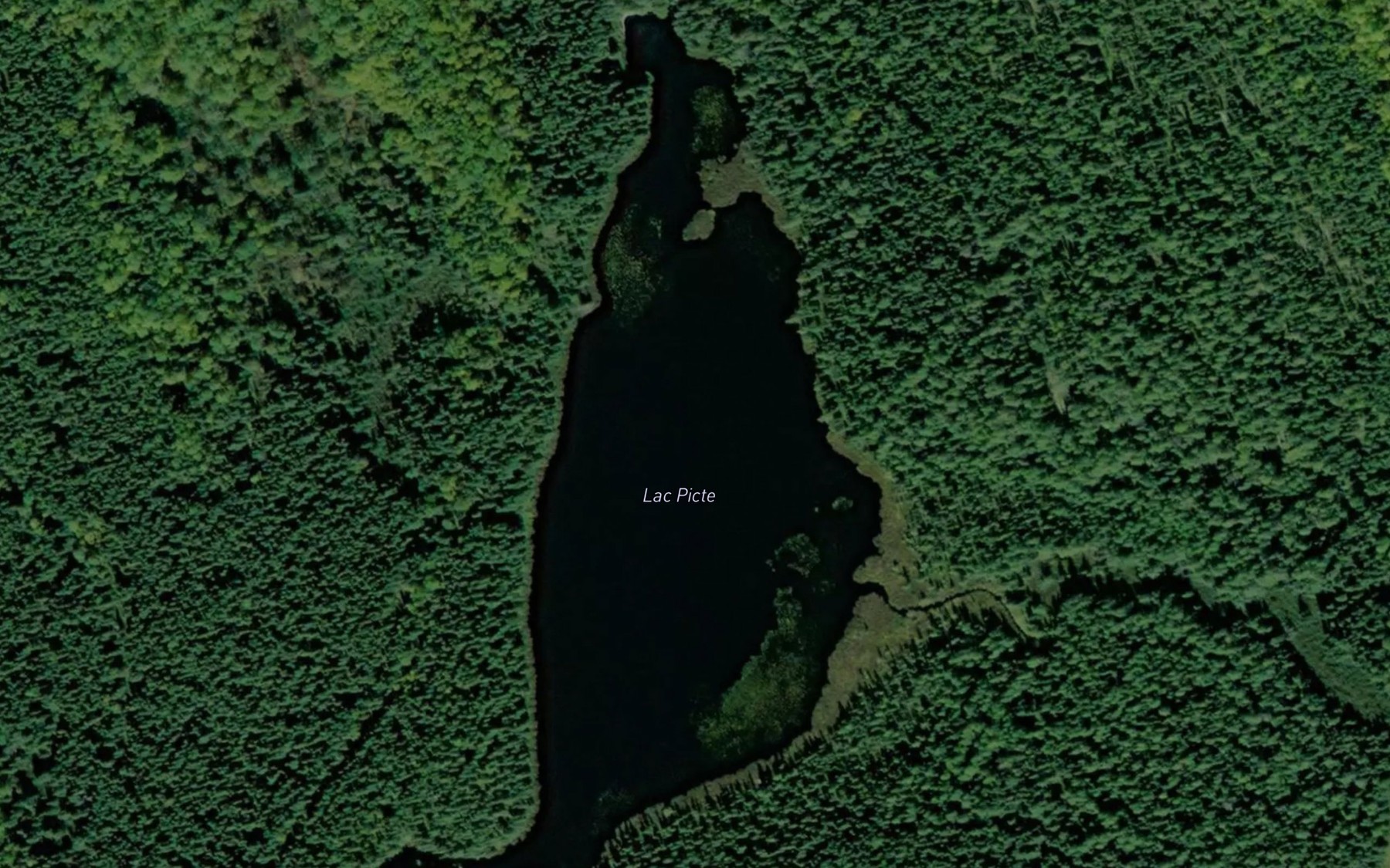Satellite map of the Lac Picte