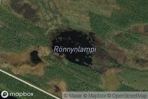 Ronnynlampi