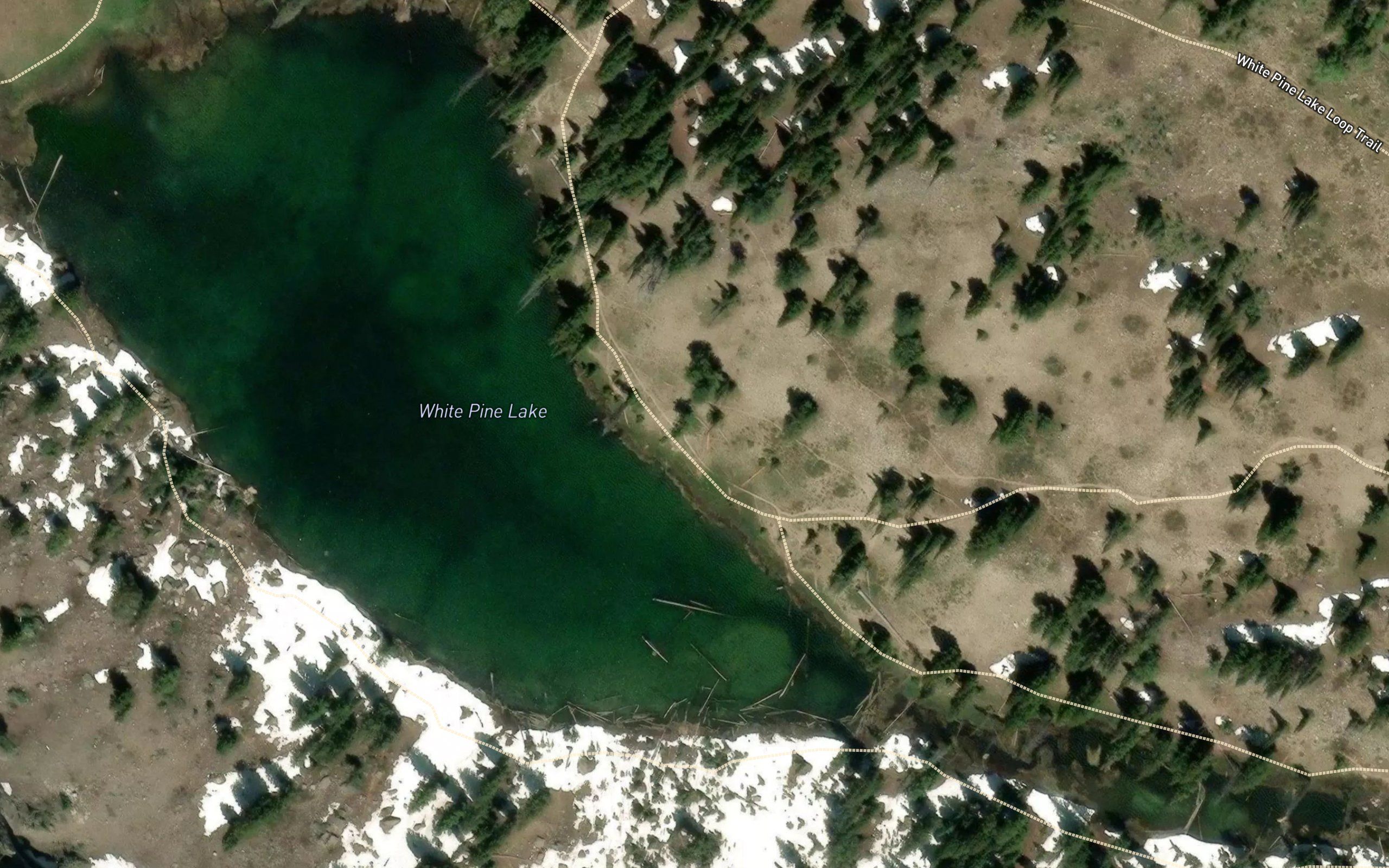 White Pine Lake