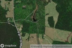 Pattons Pond