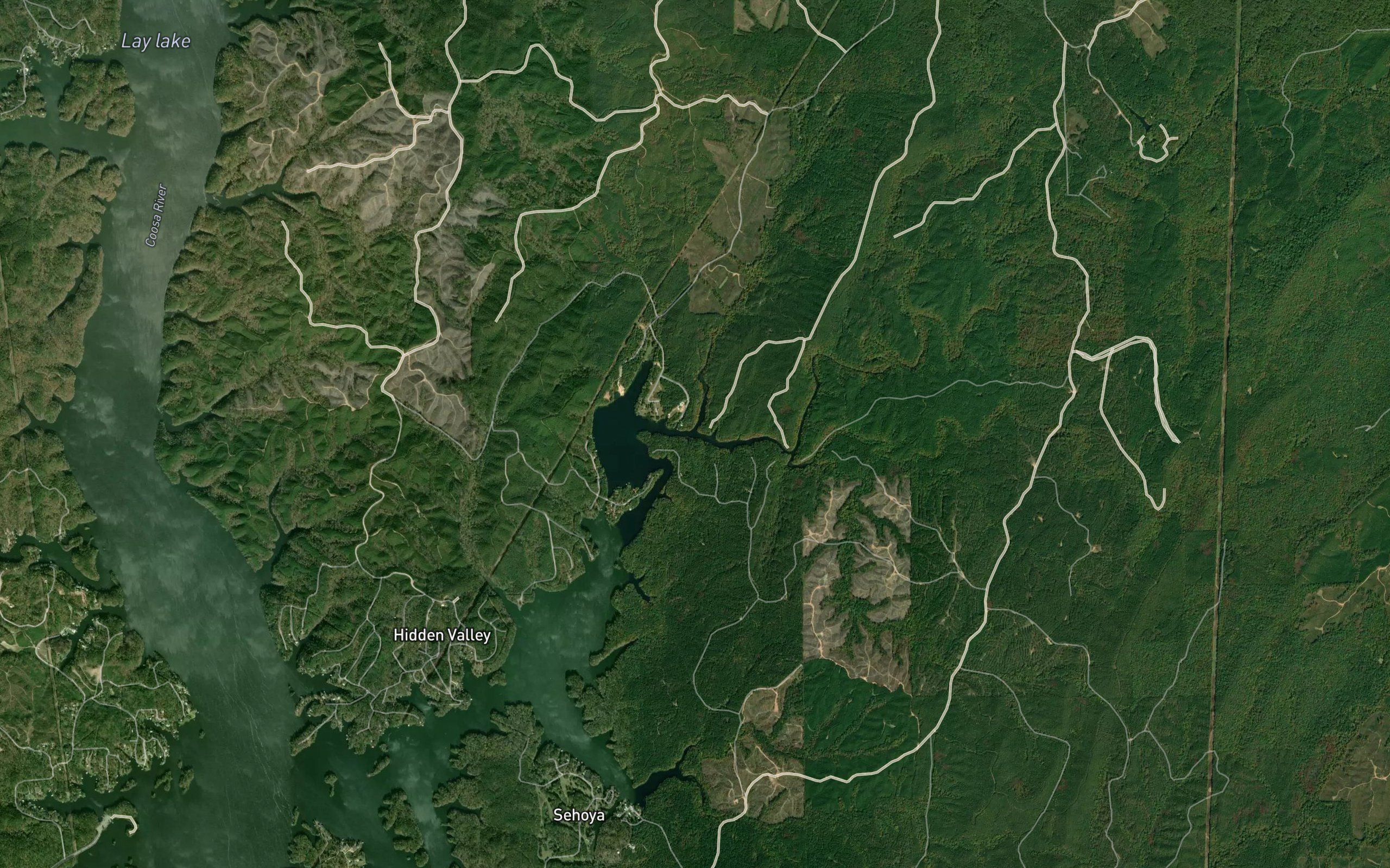 Chalybeate Creek