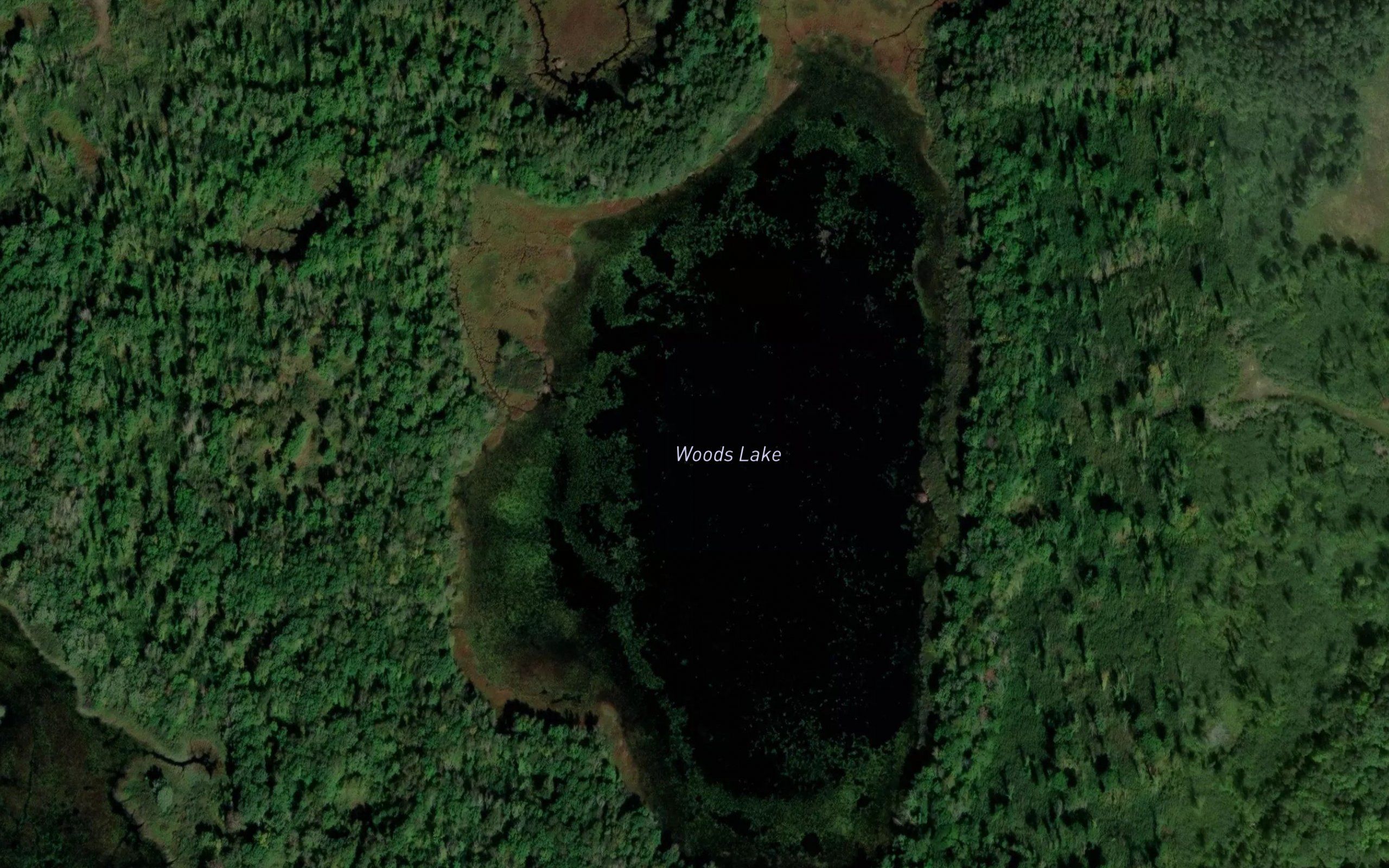 Woods Lake