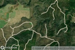 Serene Lake Number 7