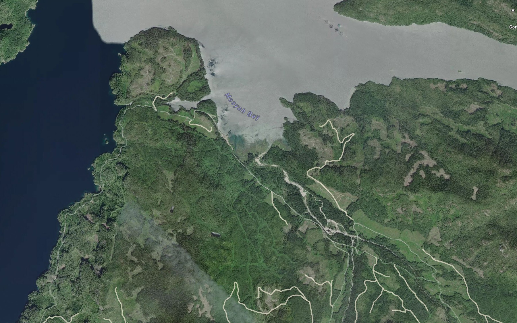 Satellite map of the Mooyah River