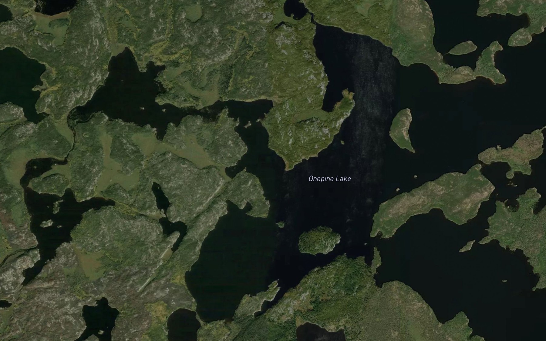Satellite map of the Onepine Lake