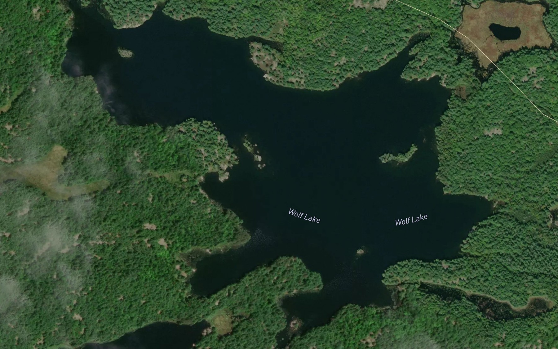 Satellite map of the Wolf Lake