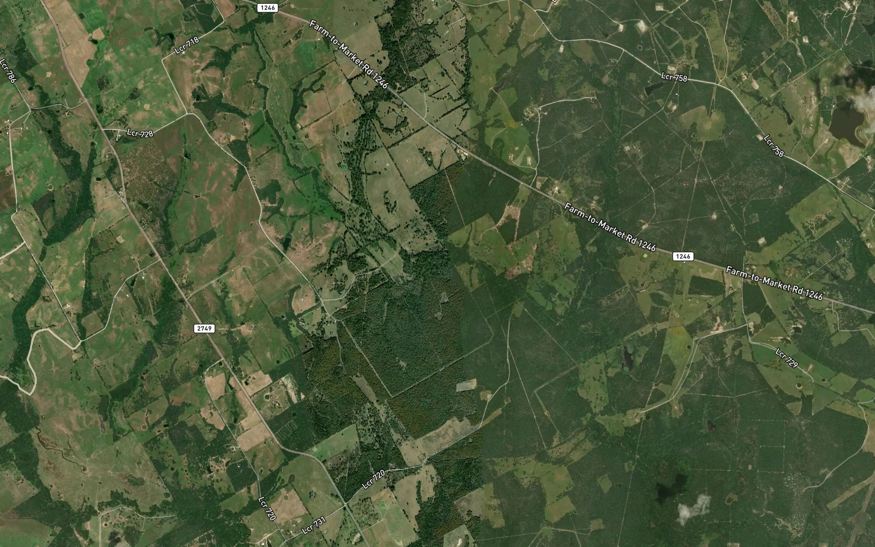 Satellite map of the Brier Creek