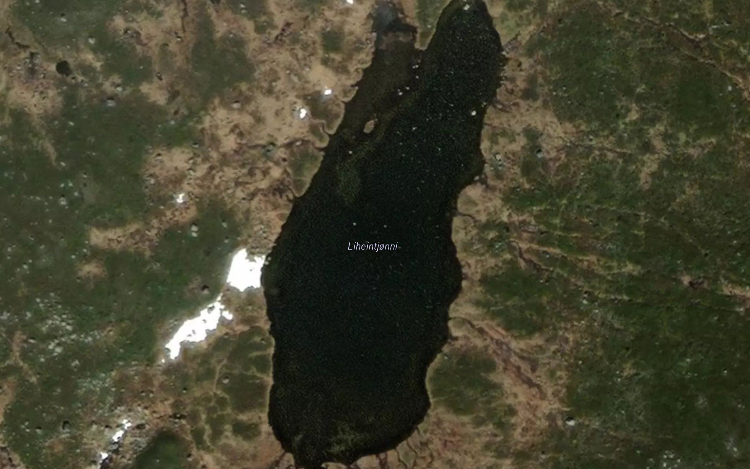 Liheintjonni