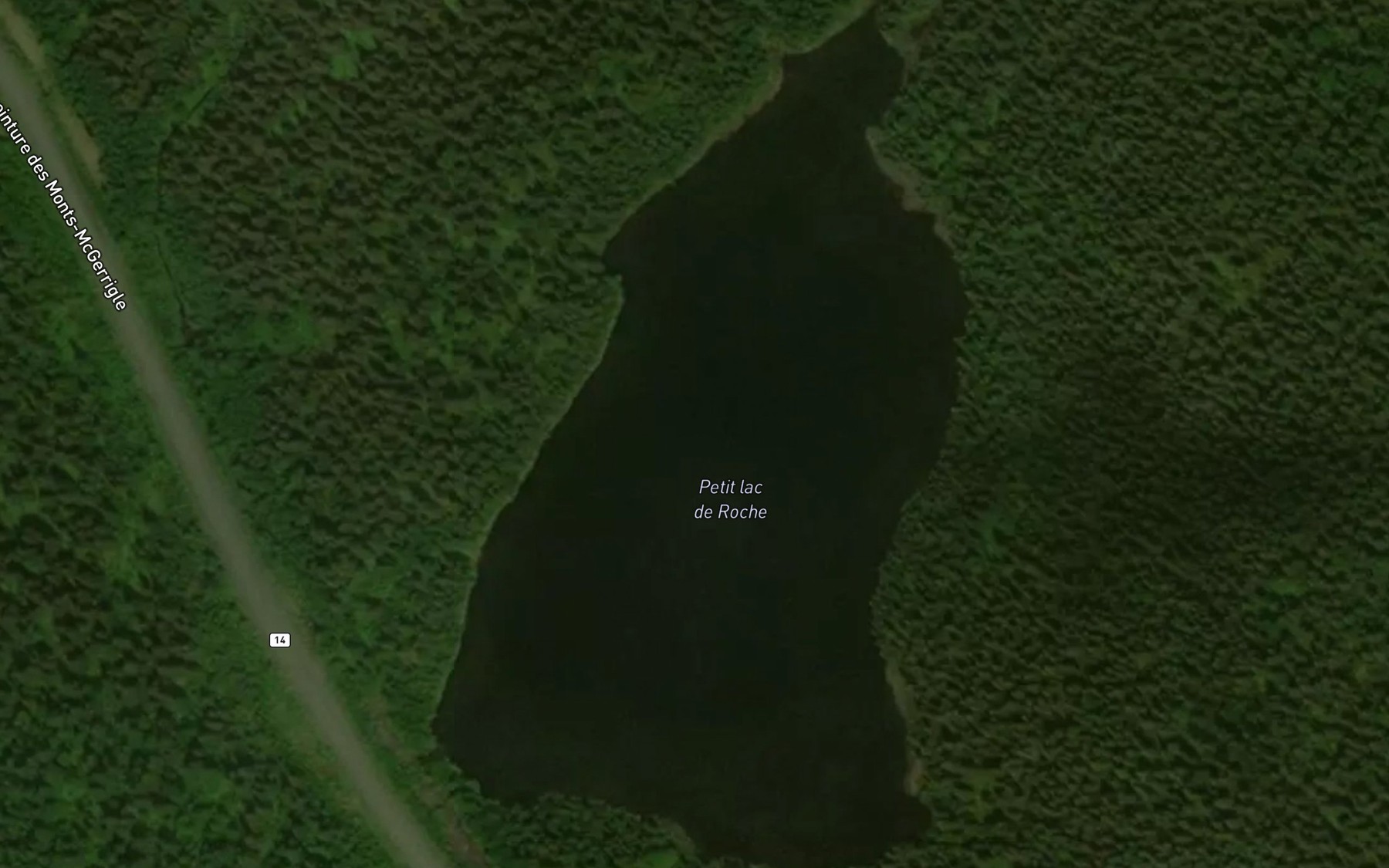 Satellite map of the Petit lac de Roche