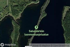 Salusjarvi