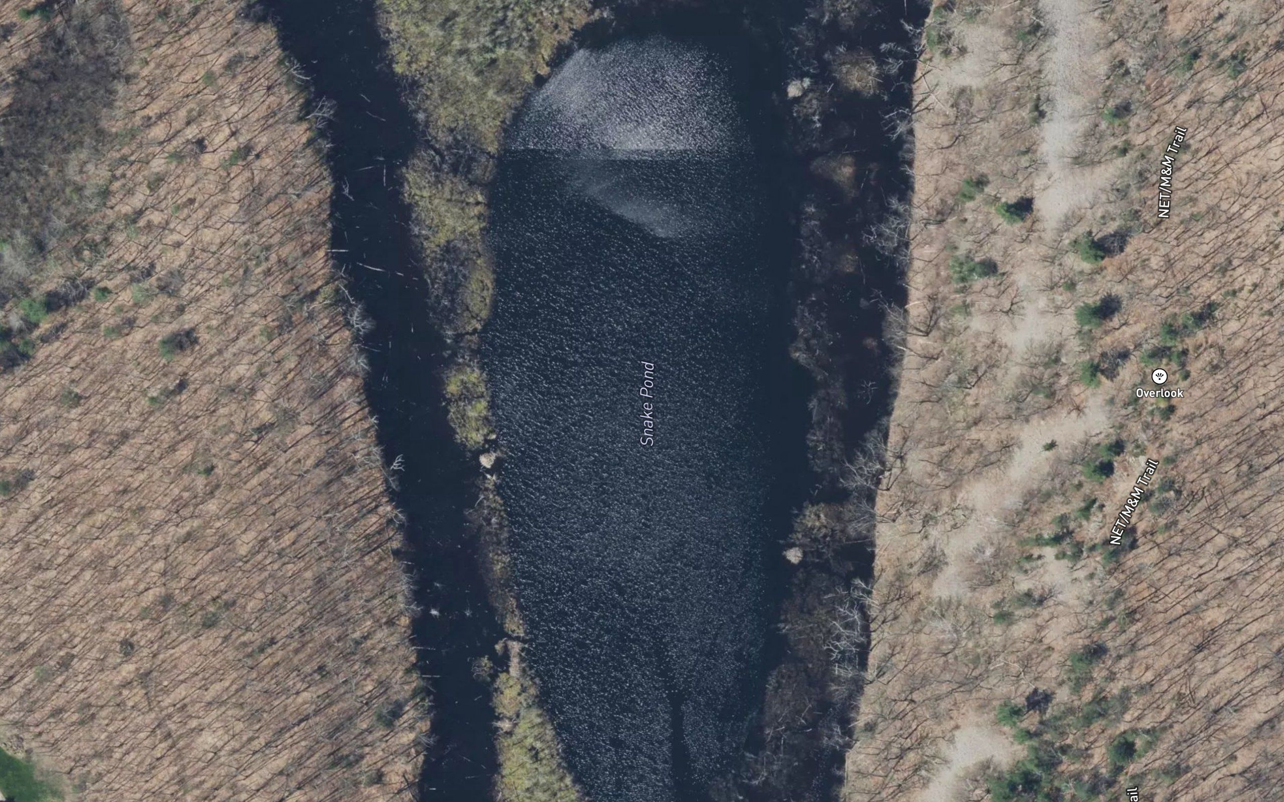 Snake Pond