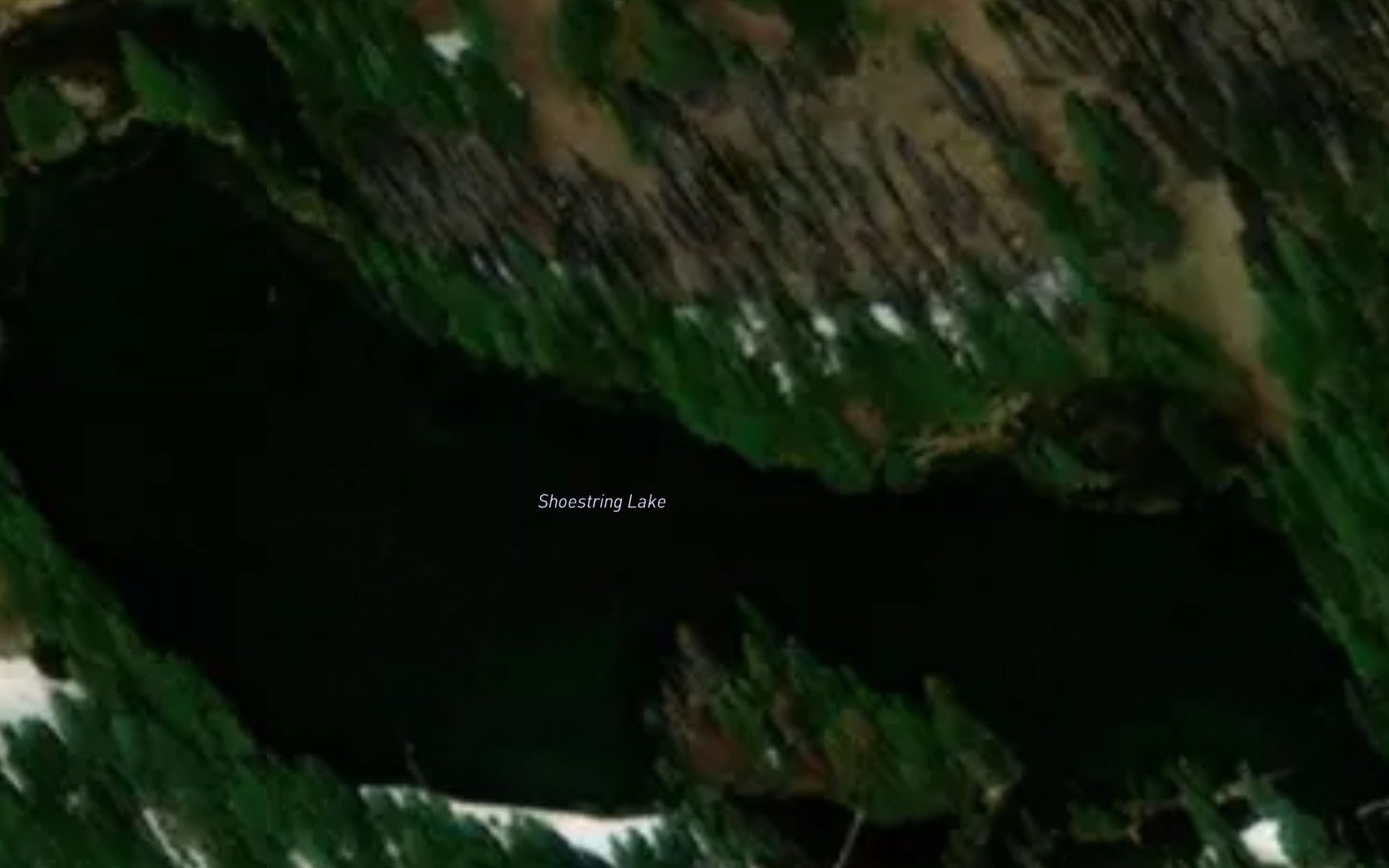Satellite map of the Shoestring Lake