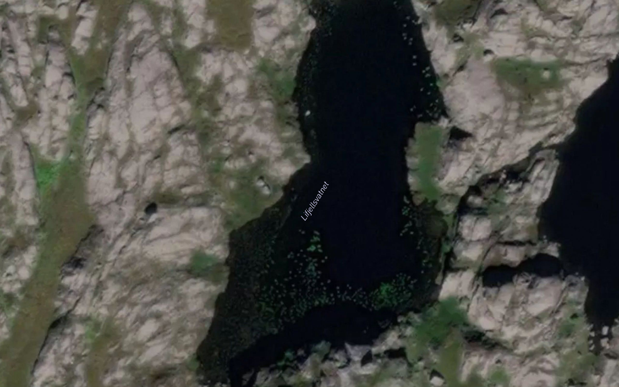 Lifjellsvatnet