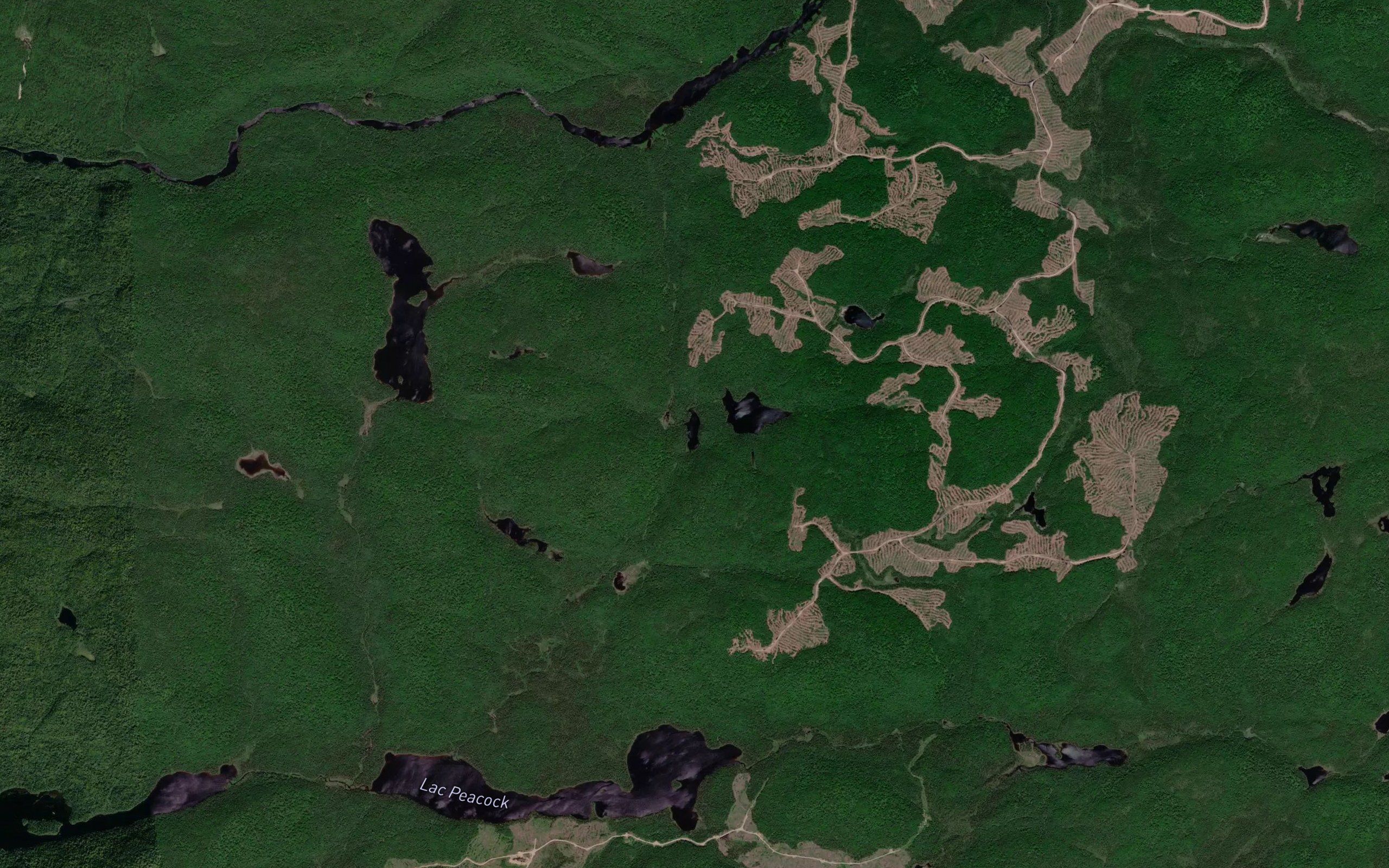 Lac du Kangourou