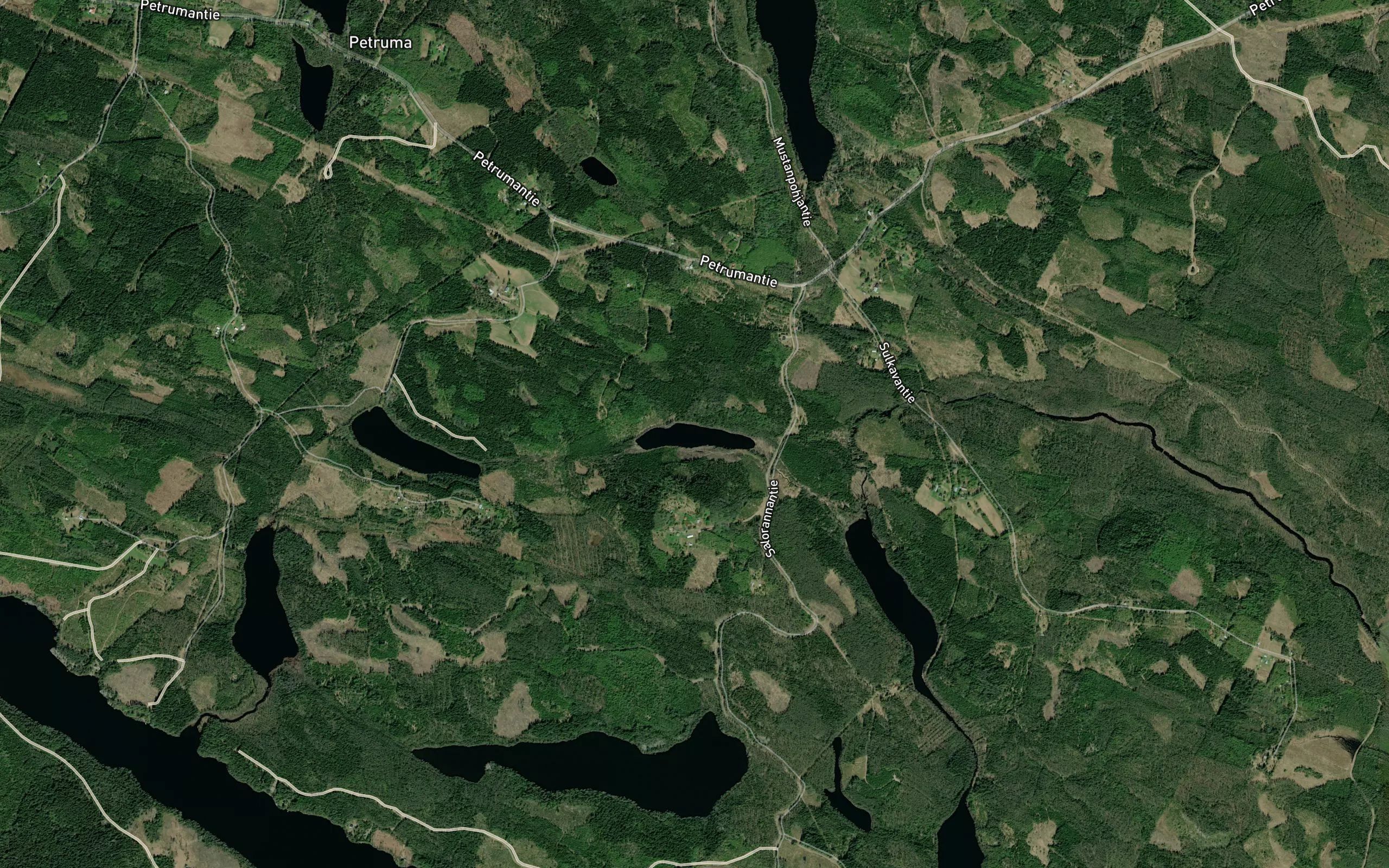 Sayneinen