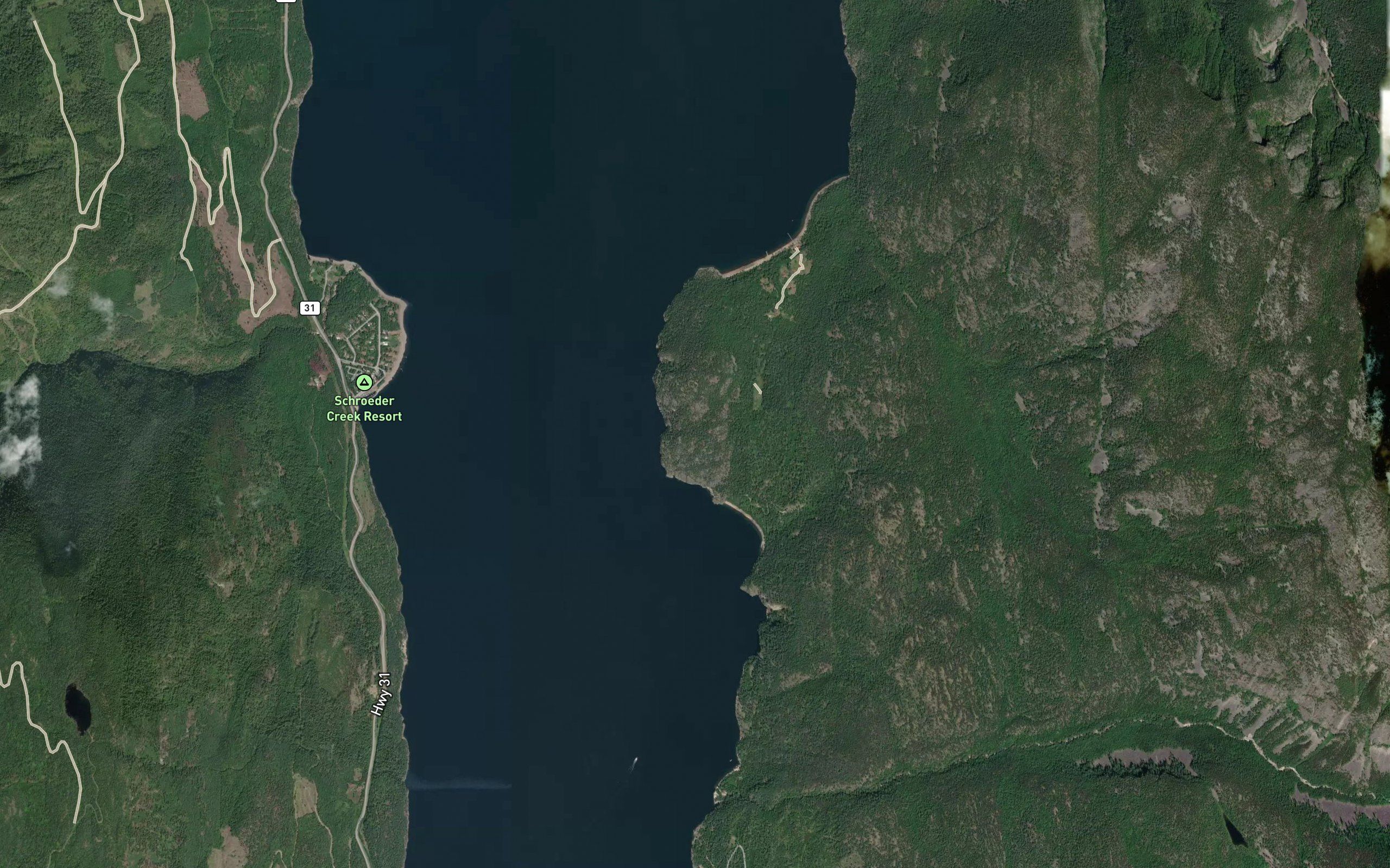 Clute Creek