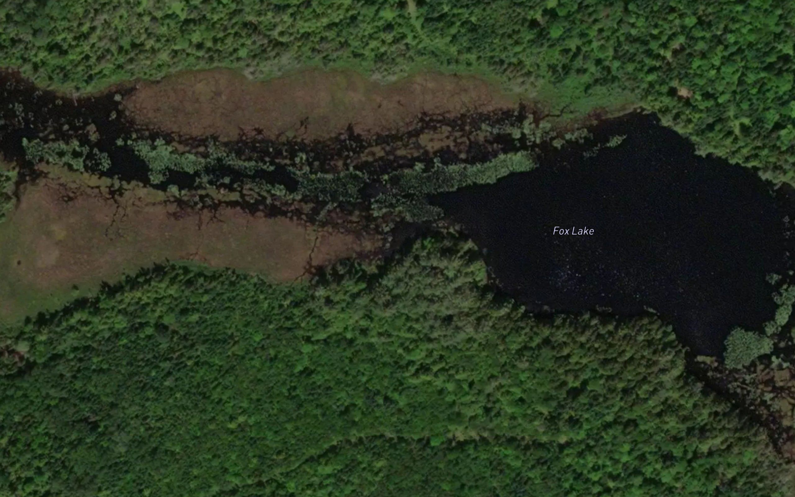 Fox Lake