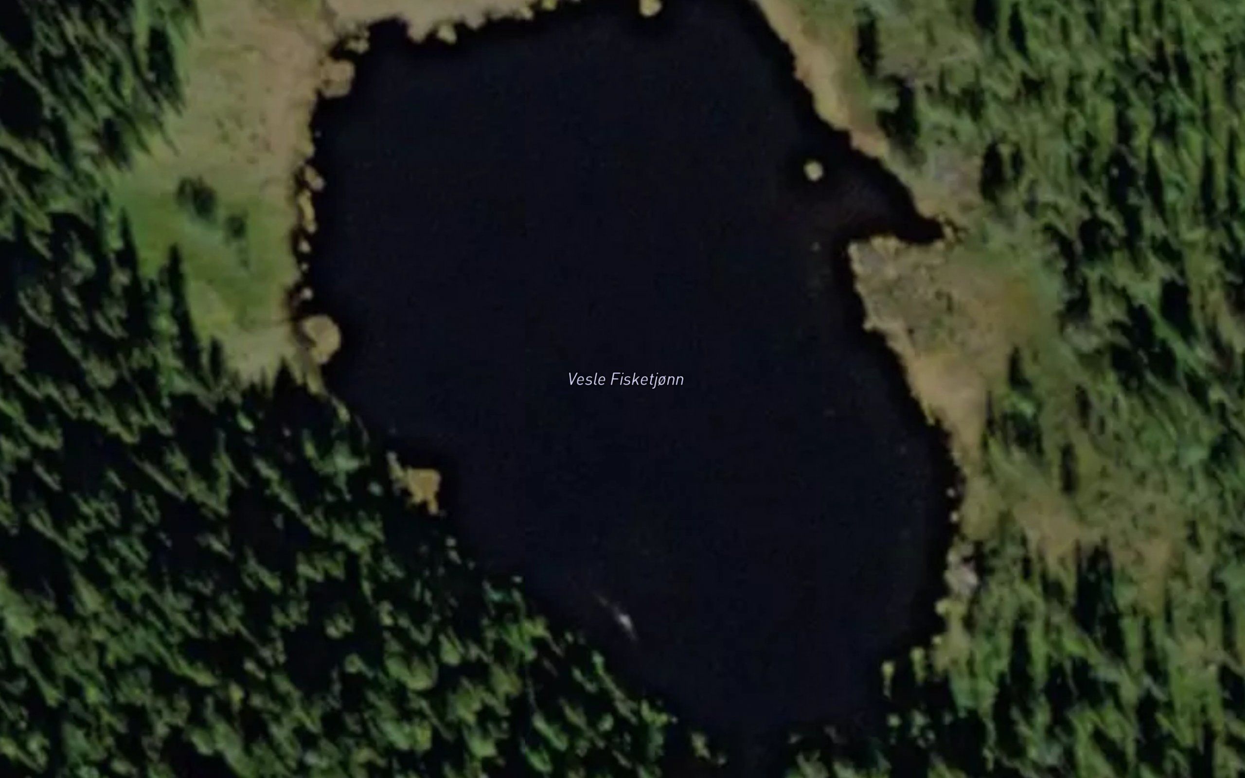 Vesle Fisketjonn
