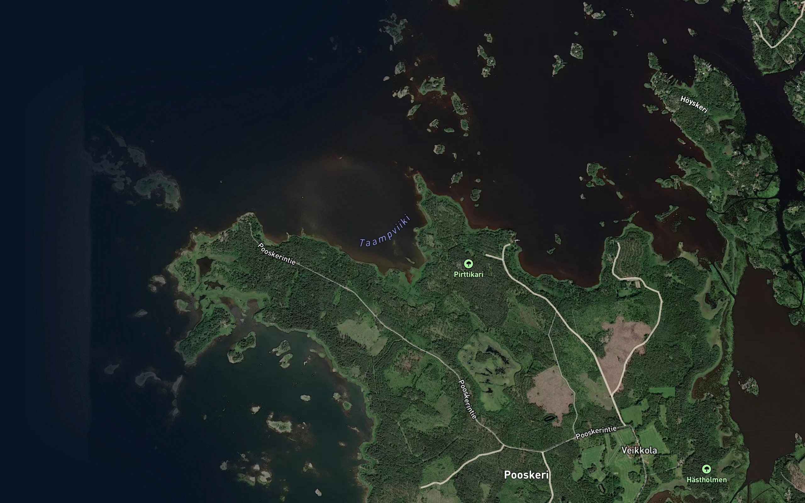 Taampinviiki