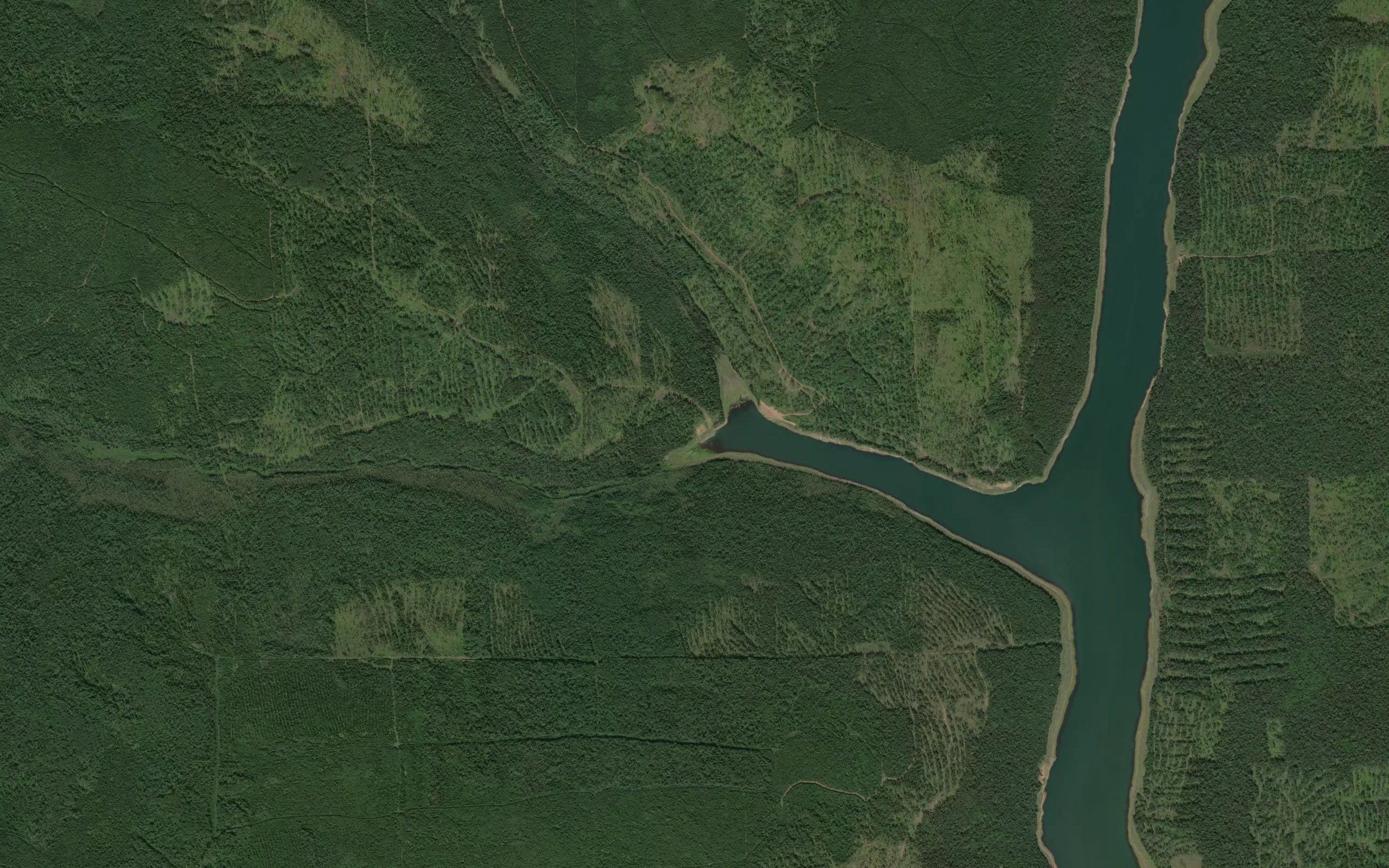 Kamennaya