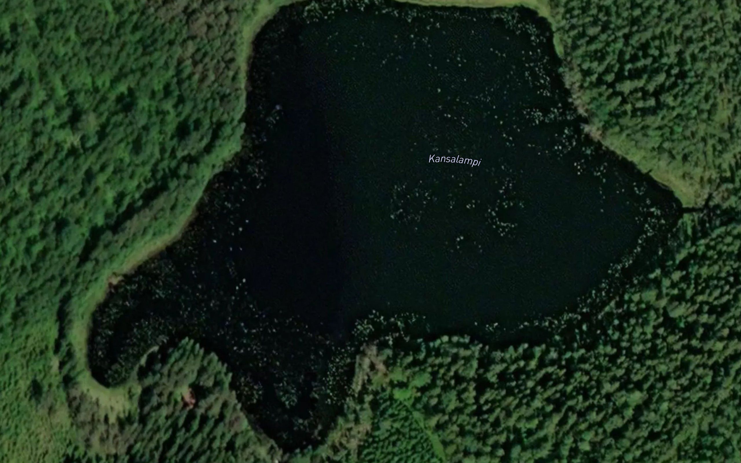 Kansalampi
